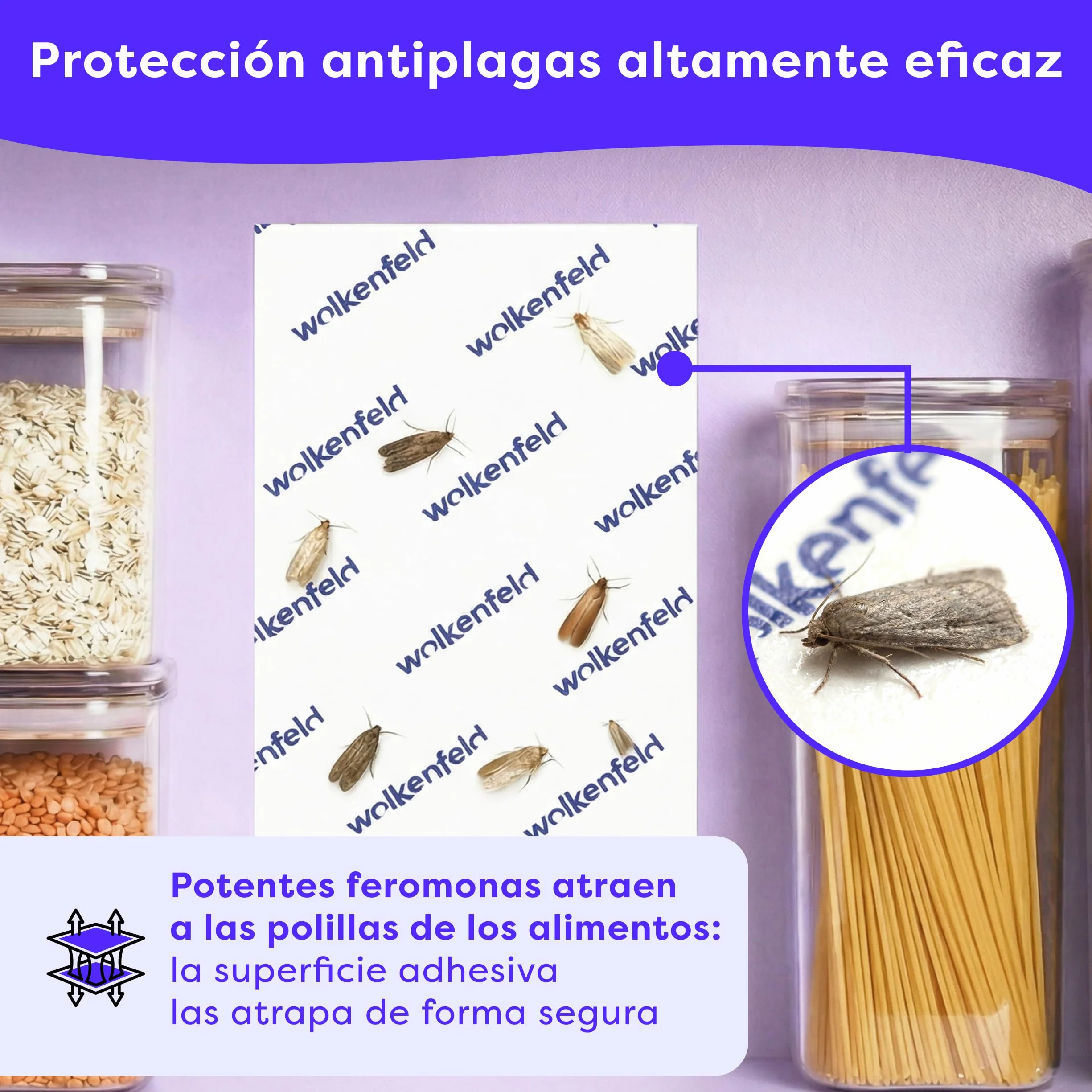 Wolkenfeld Antipolillas Cocina y Despensa 10x – Trampa Feromonas Polillas Alimentos 100% Natural sin Spray Biocidas Fabricado Alemania