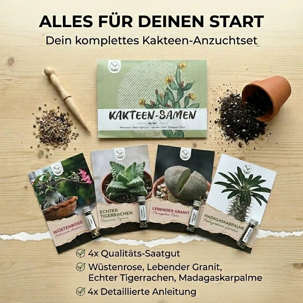Semillas de cactus exóticas para floración - Set de 4 semillas suculentas