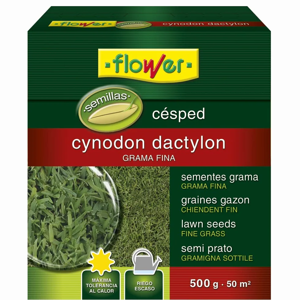 Semillas Cynodon Dactilon 500g Grama Fina para 50m2 Máxima Tolerancia al Calor Riego Escaso