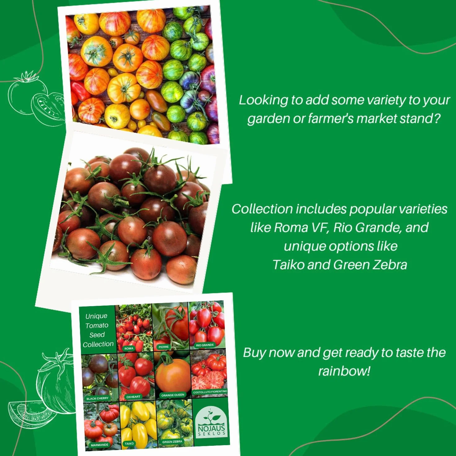 Nojus Juego de semillas de tomate 10 variedades Kit de inicio 10 paquetes