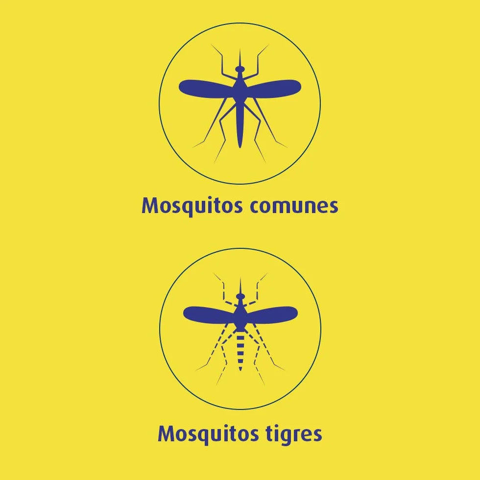 Bloom Líquido Recambio Pack 4 Insecticida Eléctrico Antimosquitos Mosquitos Común Tigre Fórmula Concentrada Sin Perfume