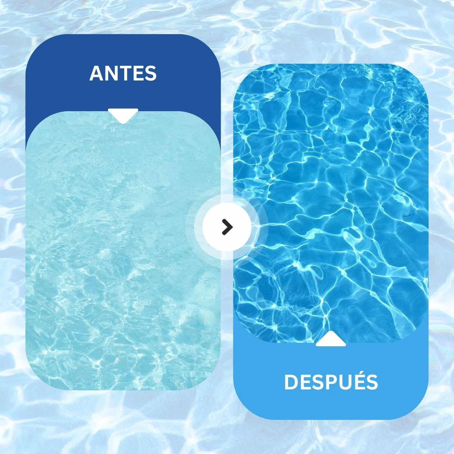 PLANTAWA Floculante Piscina Líquido 5L | Clarificador Agua Turbia