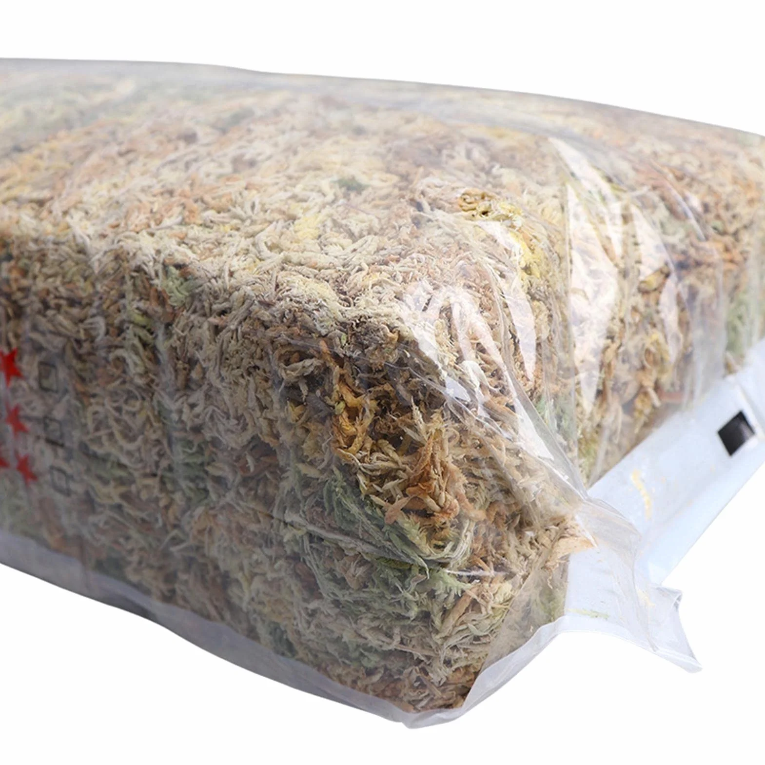 Musgo Sphagnum Seco Natural Sustrato Cultivo sin Suelo para Orquídea Phalaenopsis 12L