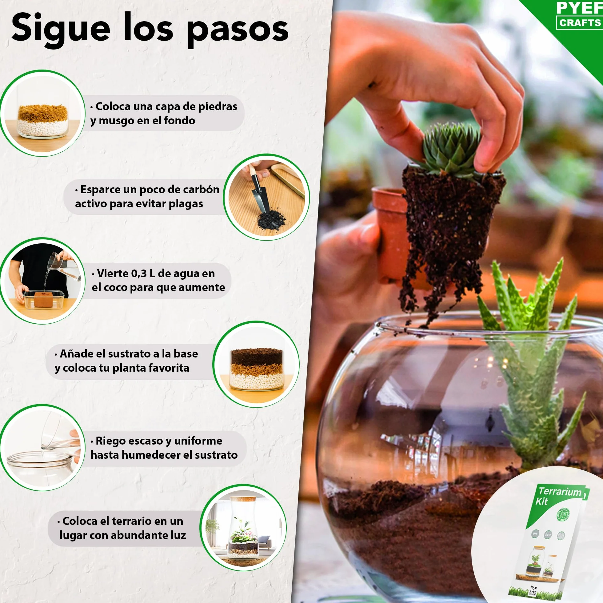 Kit Terrario de Cristal DIY Set Decoración Ecosistema Cerrado Bosque Eterno Interior Frasco Accesorios Hogar Regalo Original