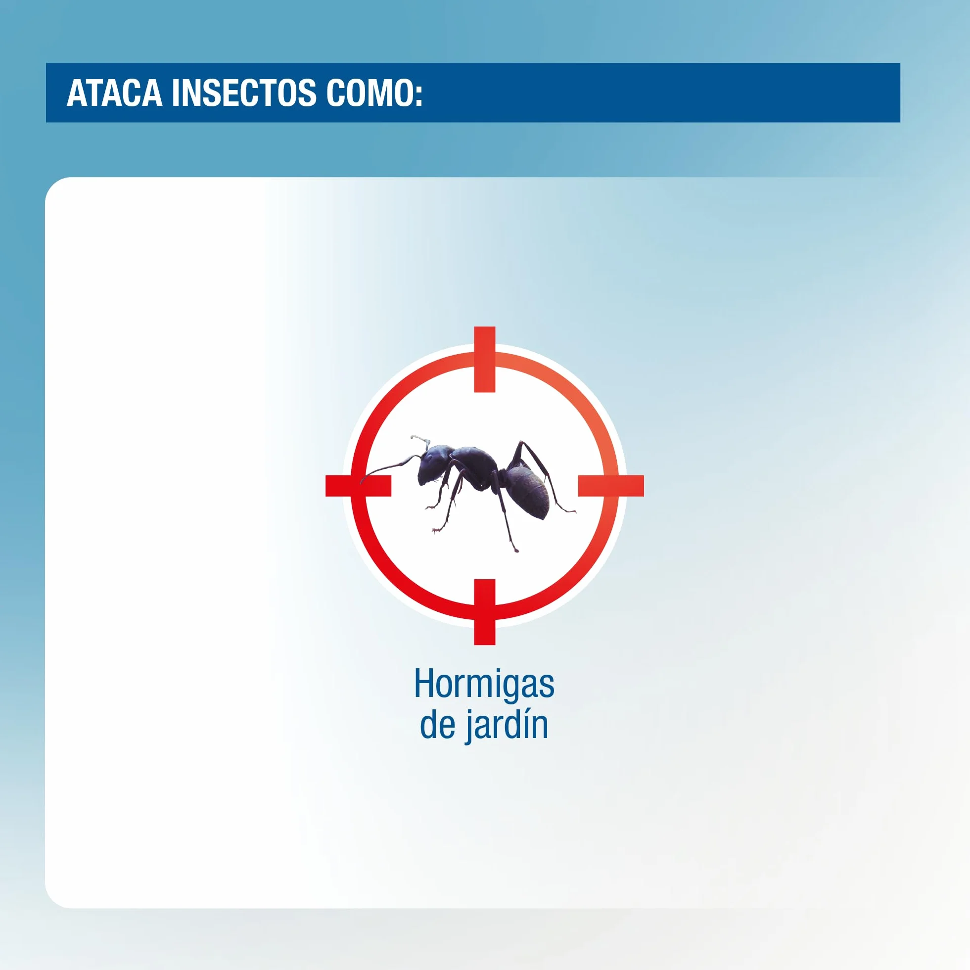 PROTECT HOME Cebo Antihormigas granulado, Elimina Hormigas Exteriores