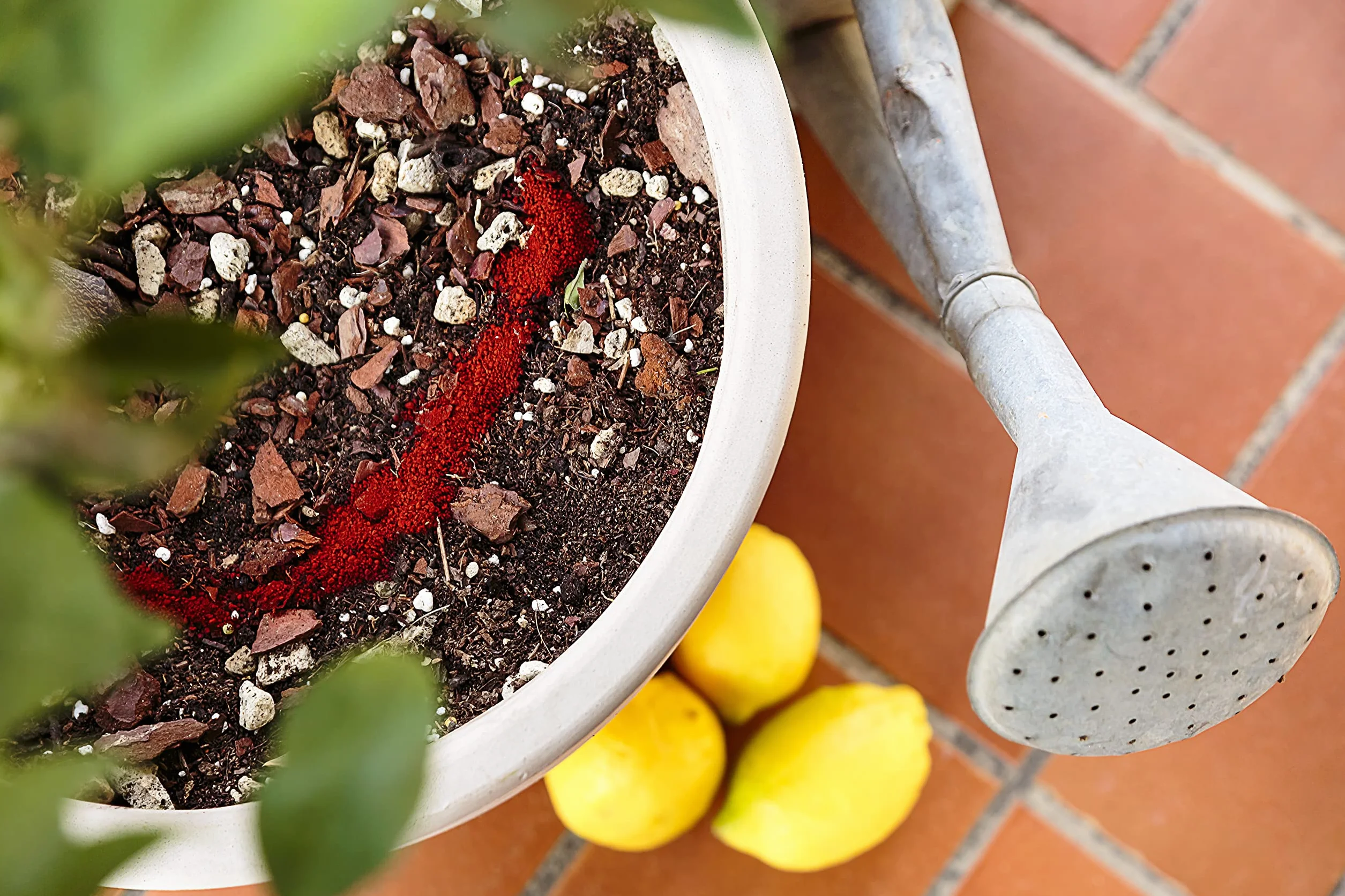 Hierro Quelato EDDHA 45GR Revitaliza y Protege el Crecimiento de Plantas y Raíces