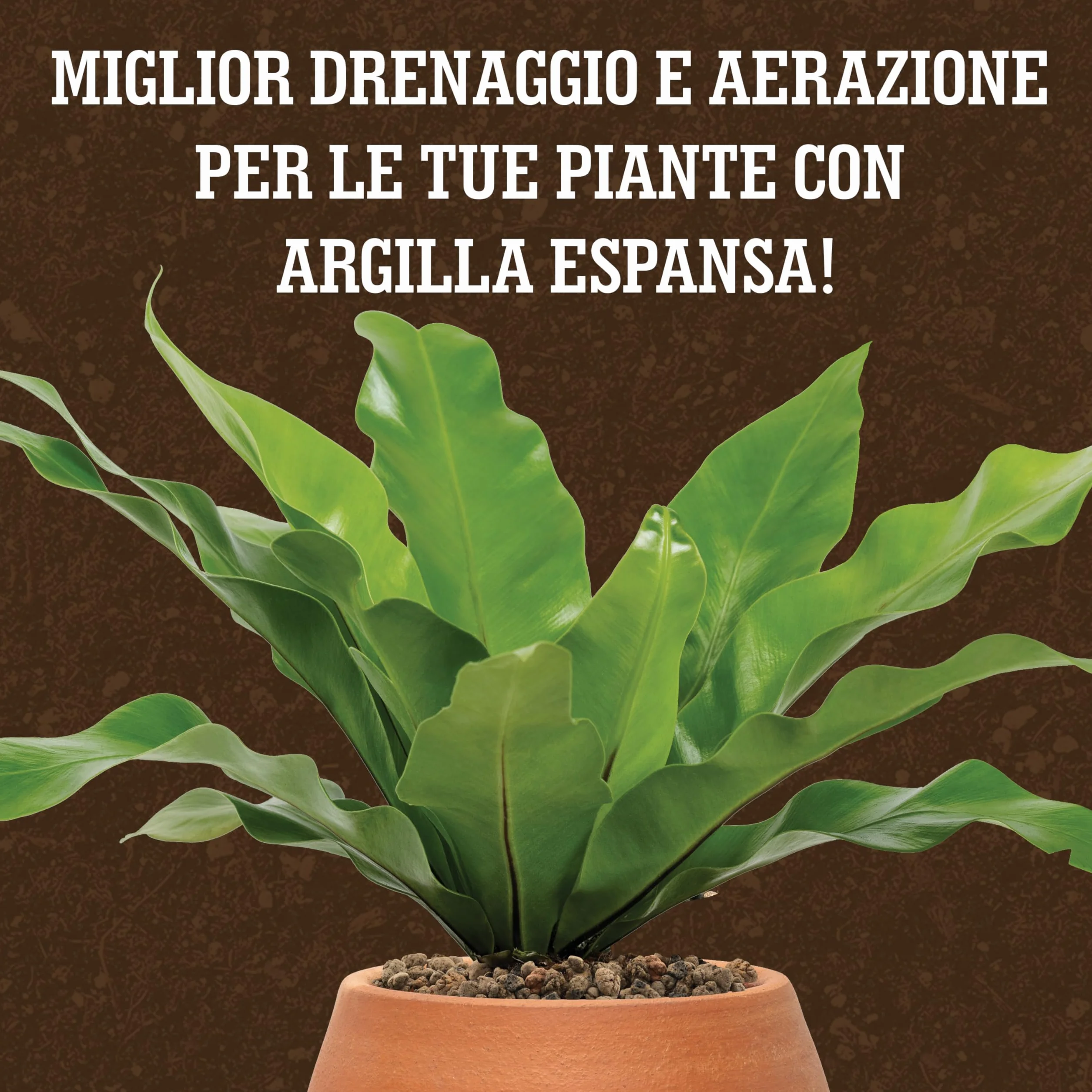 Arlita para Plantas Arcilla Expandida LERAVA (3L) Piedra Volcánica Decorativa y Sustrato de Drenaje