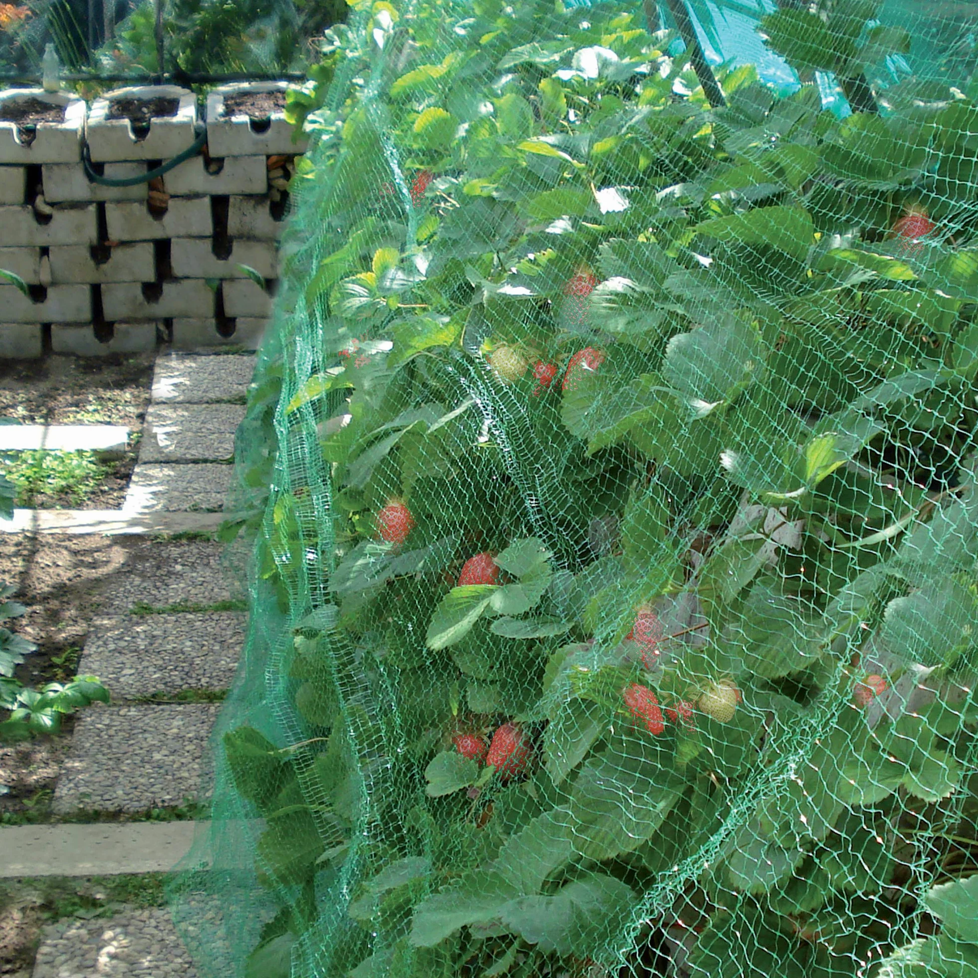 TENAX Ortoflex 2,00x10 m Verde Malla Antipájaros Protección Frutos Cultivos
