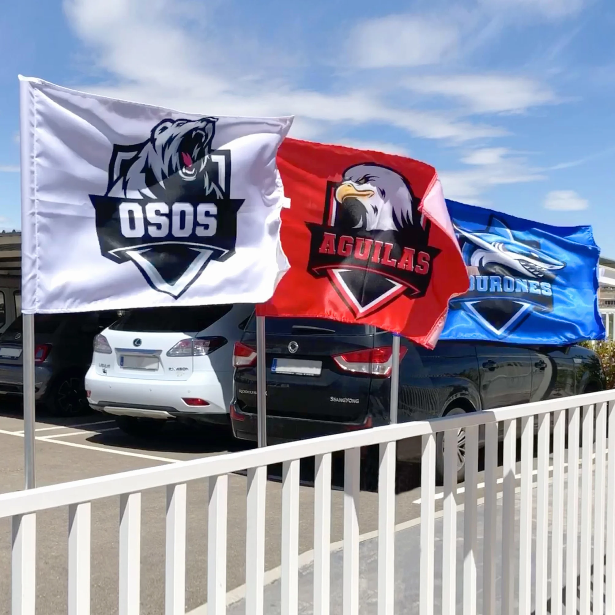 Wanapix | Banderas Personalizadas | Banderas Textiles de Jardín - Eventos - Cumpleaños - Fútbol y Deportes | 190x135cm | 100% Personalizado