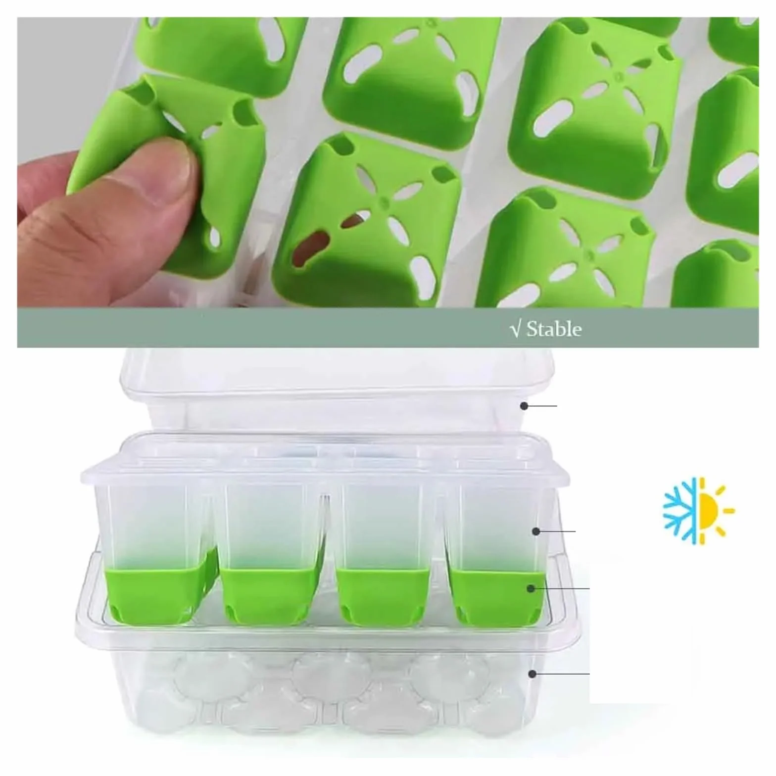 Bandejas para Semillas Bandeja de Inicio de plántulas de 12 Celdas con Cubierta Transparente Caja de germinación de Humedad Invernadero de Crecimiento for jardín Interior para Semilla(5pcs)