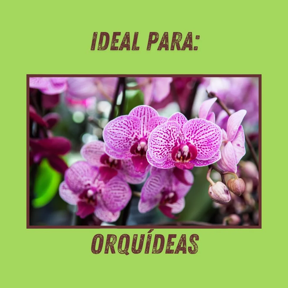 VITHAL Fertilizante Gota A Gota Orquídeas 32ml Monodosis 6 Unidades