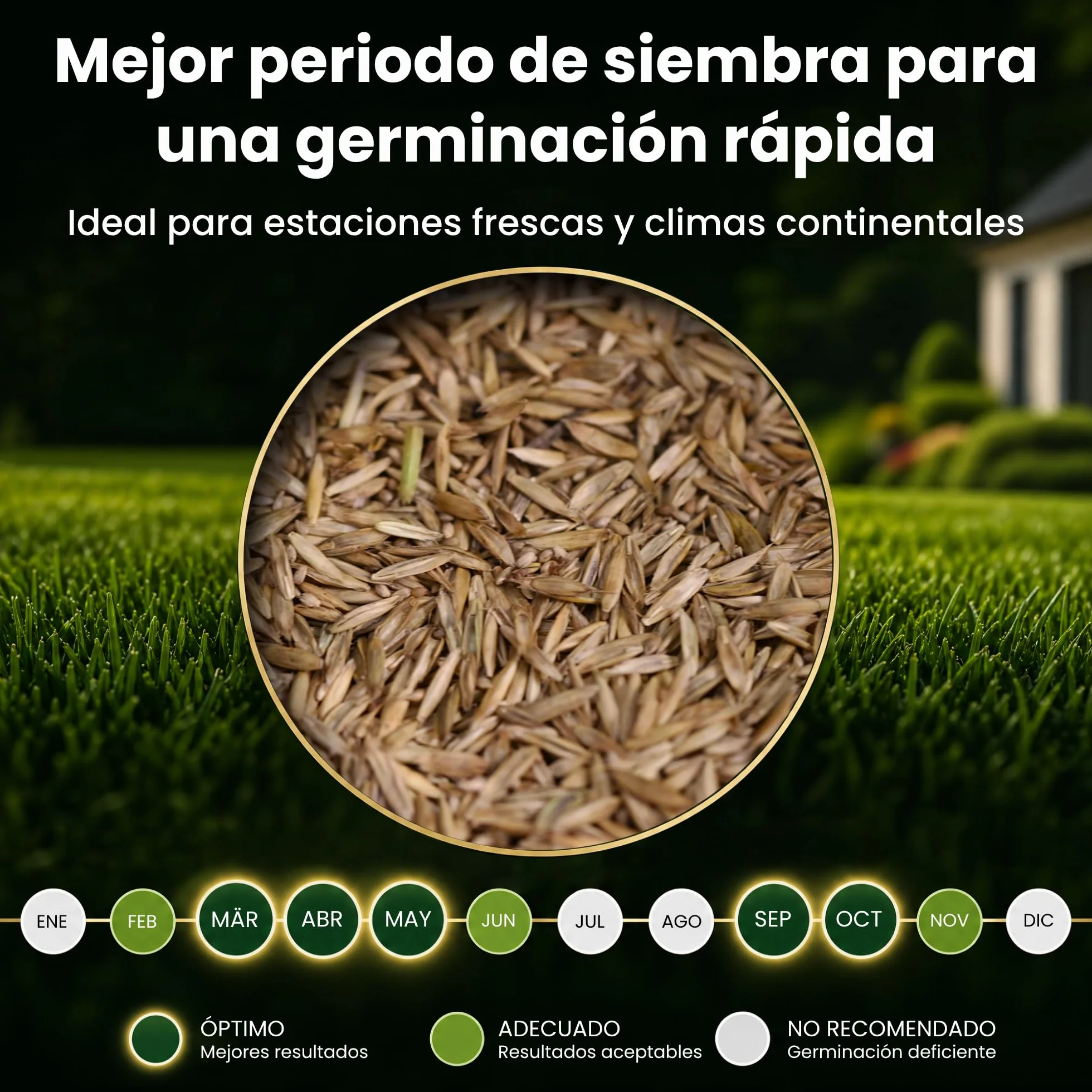 LERAVA TURBO Semillas de césped de germinación rápida 10 m² - brotación en 4-10 días - verde brillante