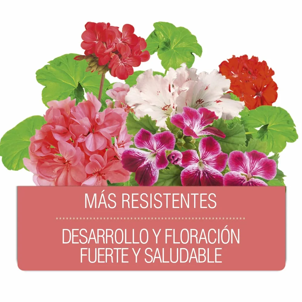 Fertilizante Líquido Geranios 1000 ml Bioestimulante con Aminoácidos Naturales