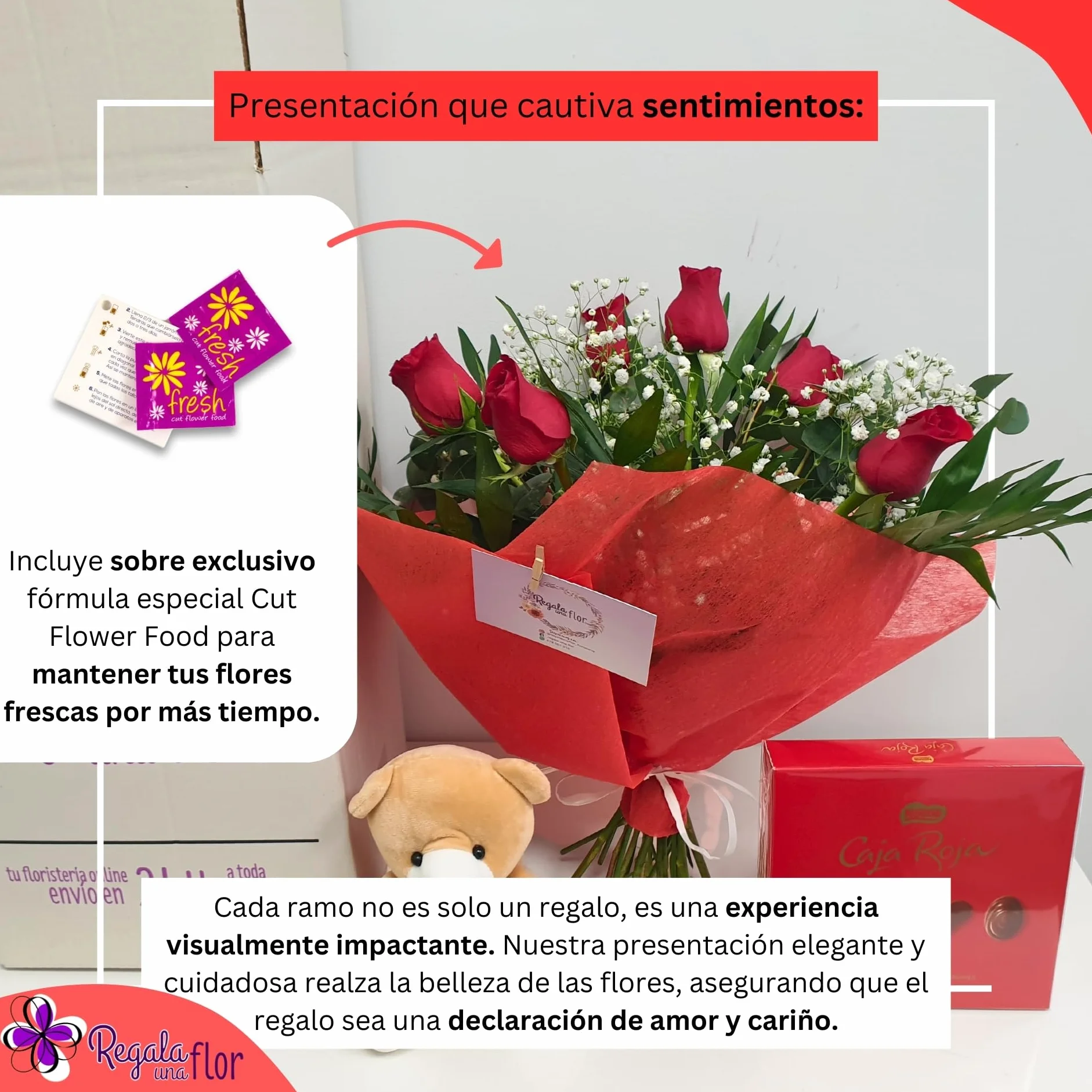 Ramo de 6 rosas naturales a domicilio con bombones, osito y tarjeta