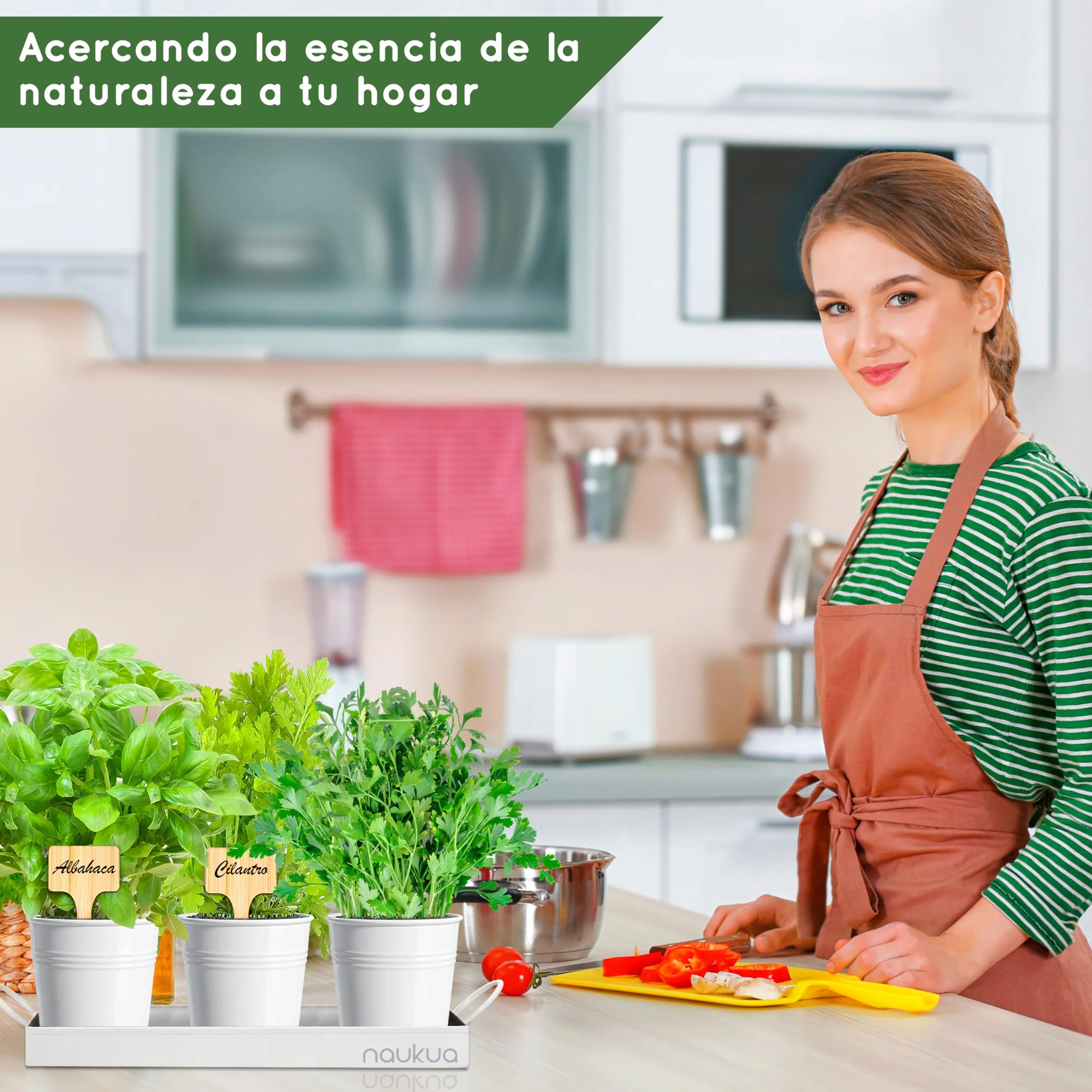 Kit Huerto Urbano Vintage Plantas Aromáticas Semillas Orgánicas España Tomillo Cilantro Salvia