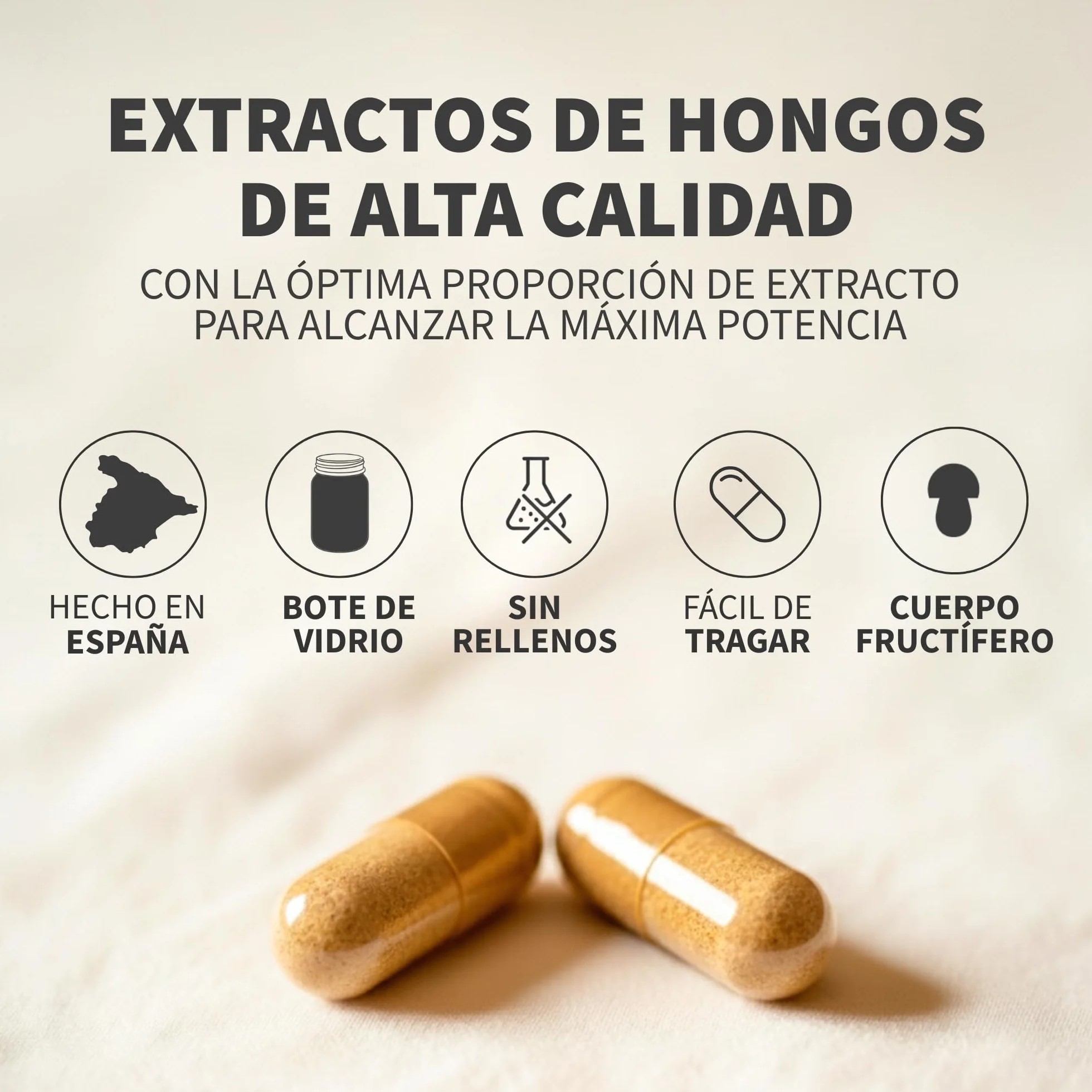 HIFAS DA TERRA Mico-Sol Extracto Puro de Champiñón de Sol + Vitamina C natural - 70 Cápsulas