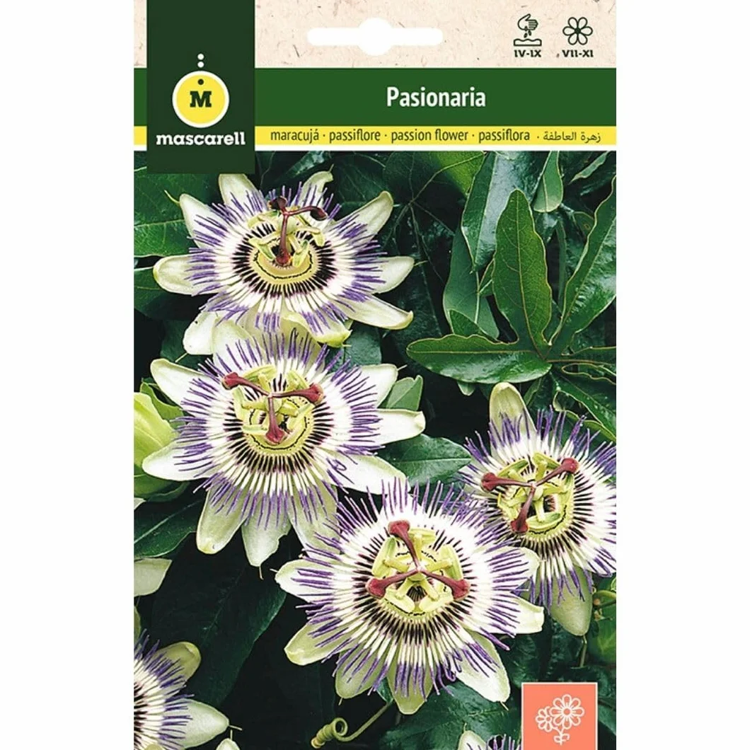 Mascarell Semillas PASIONARIA TREPADORA Semillas Flores Exterior 0,3 Gramos