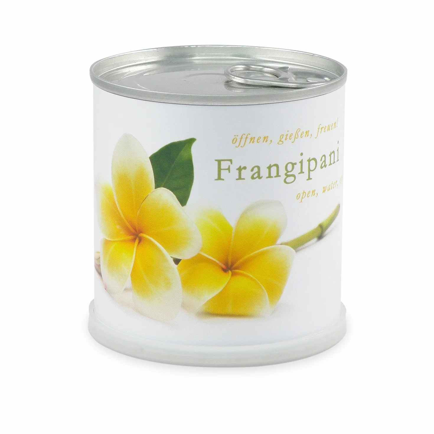 Flores en Caja de Lata Frangipani – Plumier de Macflowers