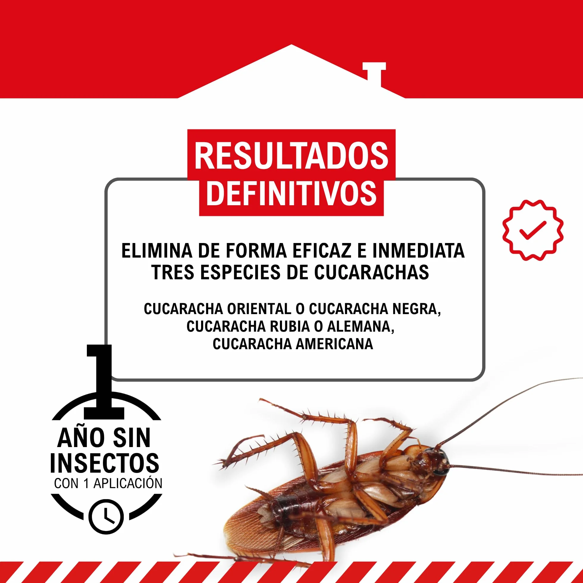 MASTERLAC Insecticida Cucarachas Hormigas Arañas Pulgas Chinches Acción Larvicida 1 Año Duración Efecto Barrera