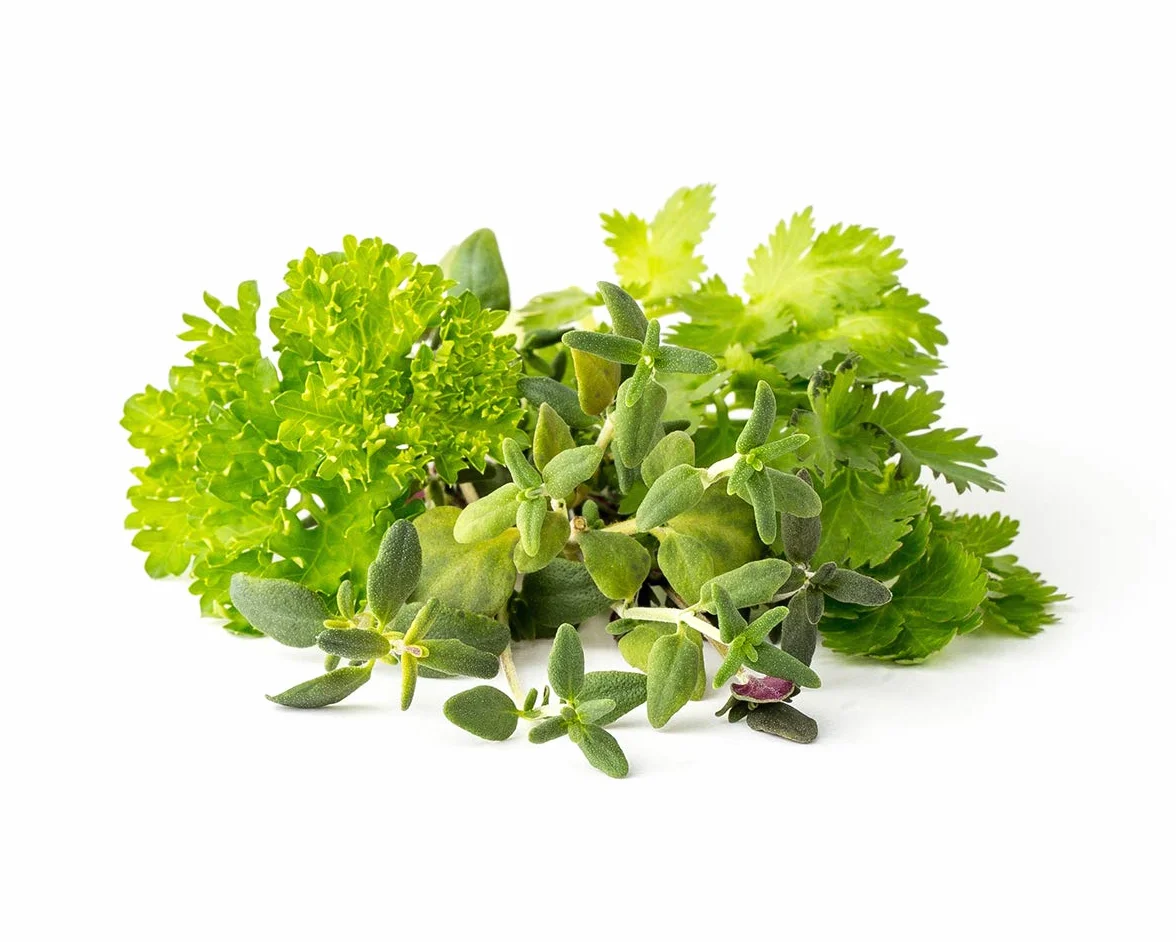 Click & Grow Plant Pod Steak Mix 9pcs