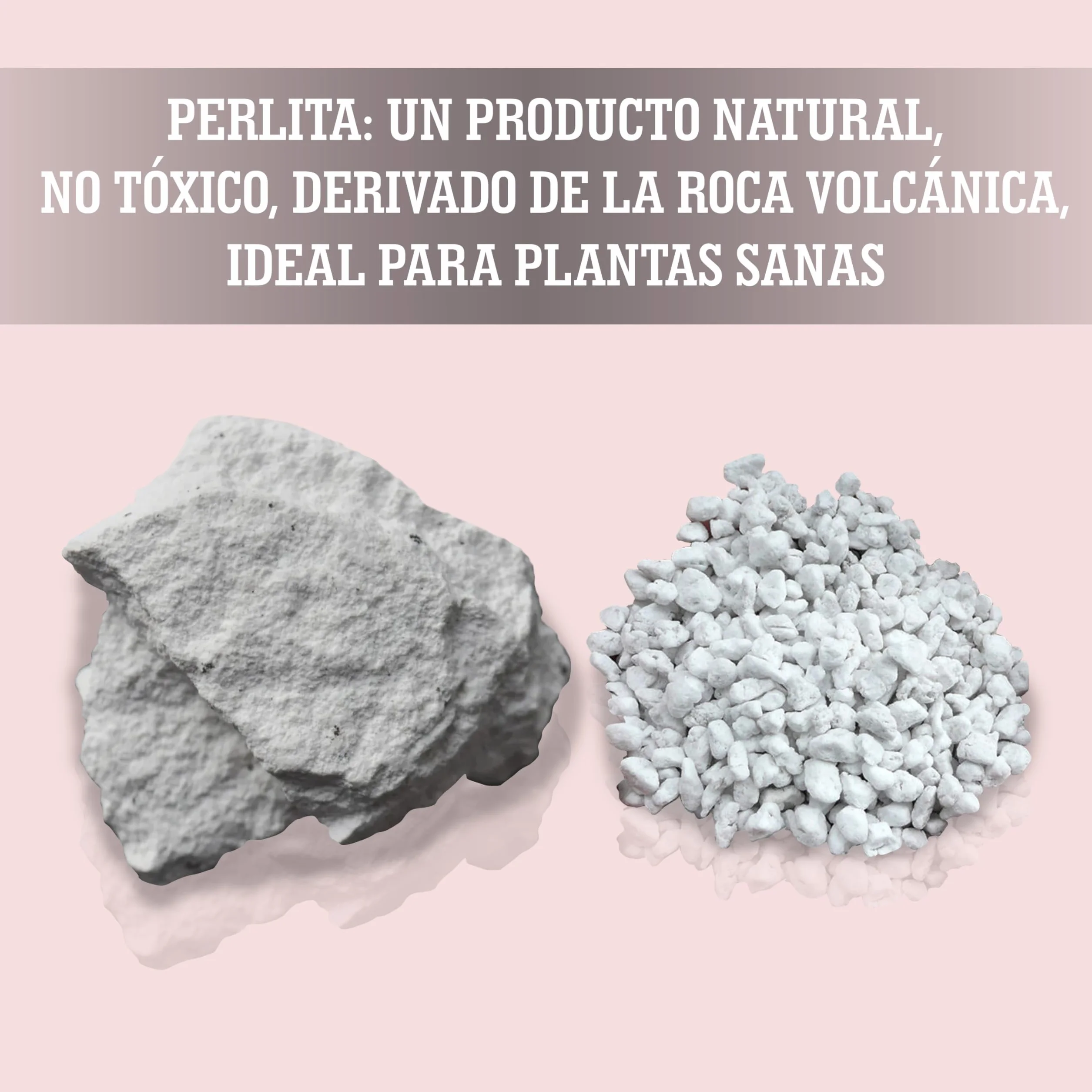 LERAVA Perlite pour Plante 3 L - Naturelle Améliore Drainage Aération