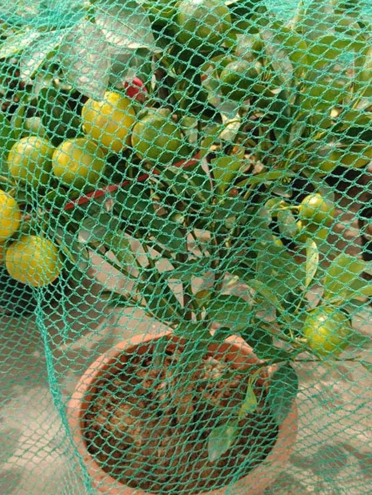 Malla AntipáJaros Netting Reutable Garden Net Cercado para árboles frutales Protección de Verduras (Size : 4 x 10m)