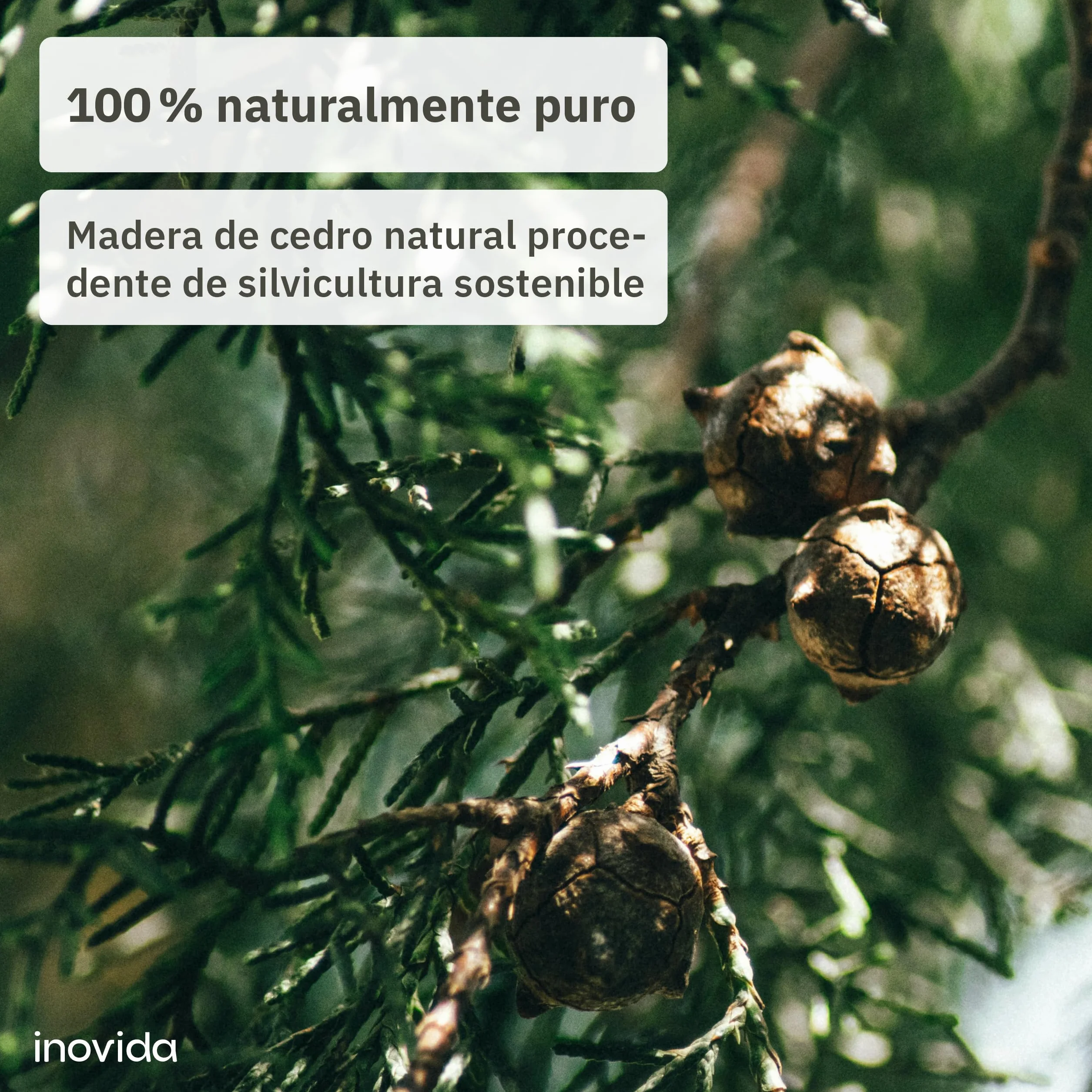 Inovida Anillos Antipolillas de Madera de Cedro : 30 Flores con Fragancia de Madera de Cedro como Protección Antipolillas para Armarios – Fragancia Natural – Protección Antipolillas en el Armario