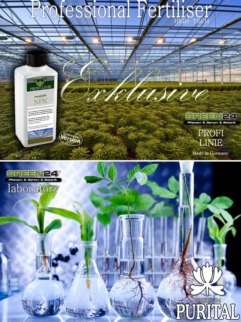 Fertilizante líquido NPK para Acer japonicum y palmatum
