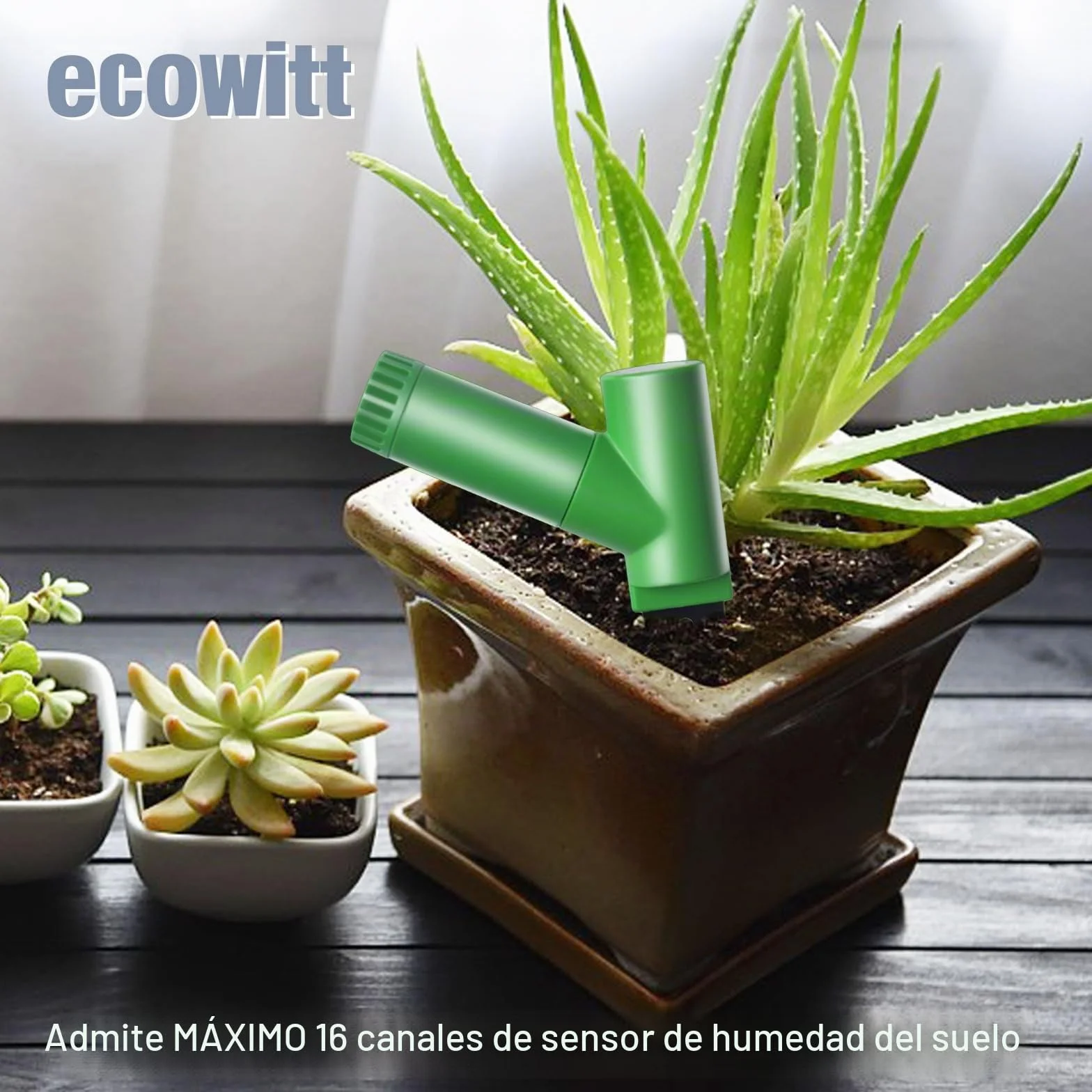 ECOWITT WH51 Probador de humedad del suelo Accesorio