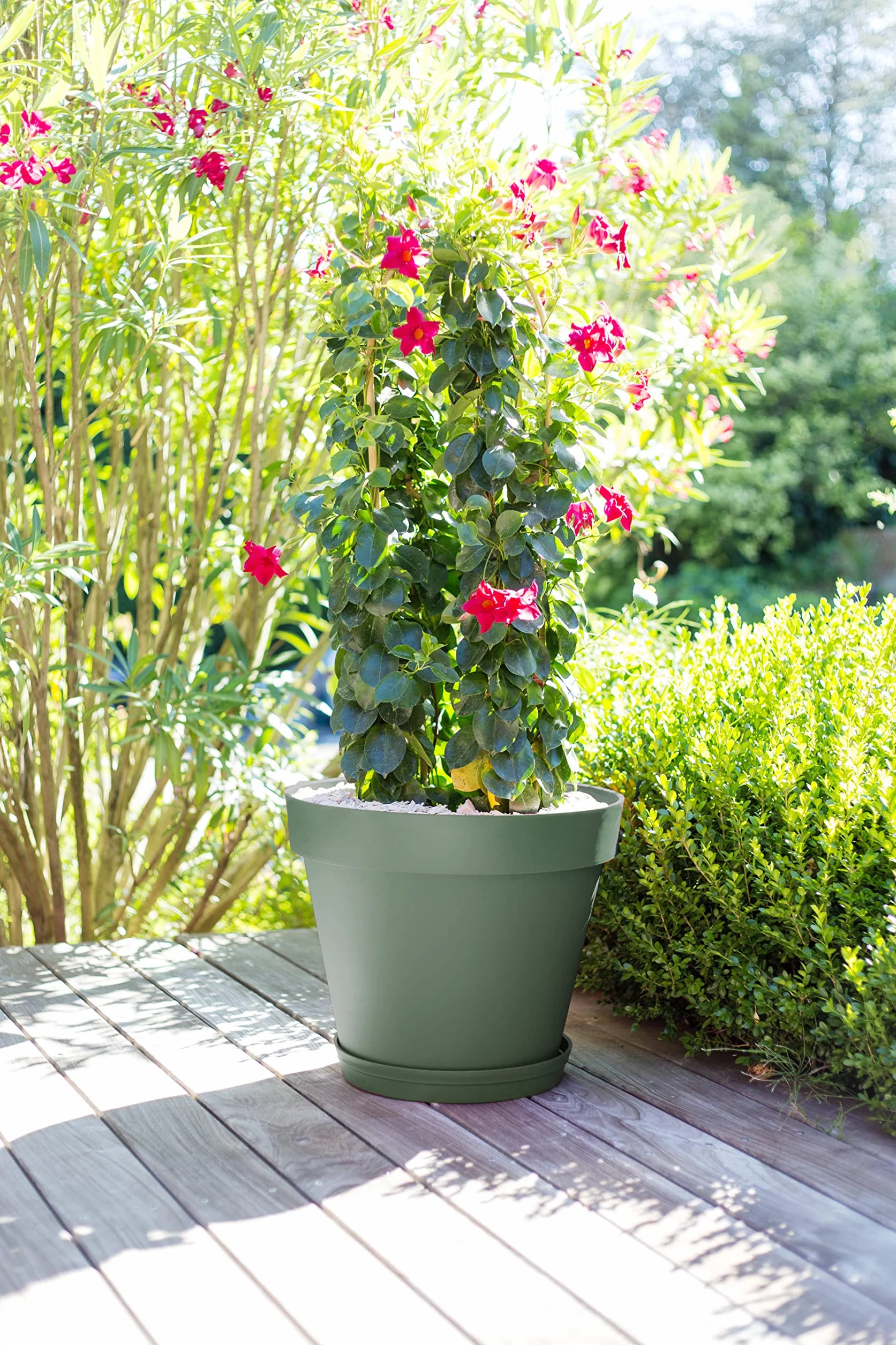 EDA – Maceta Redonda Toscana Ø 60 cm – Volumen 76 L – Ø 59 x 47 cm – Verde Laurel