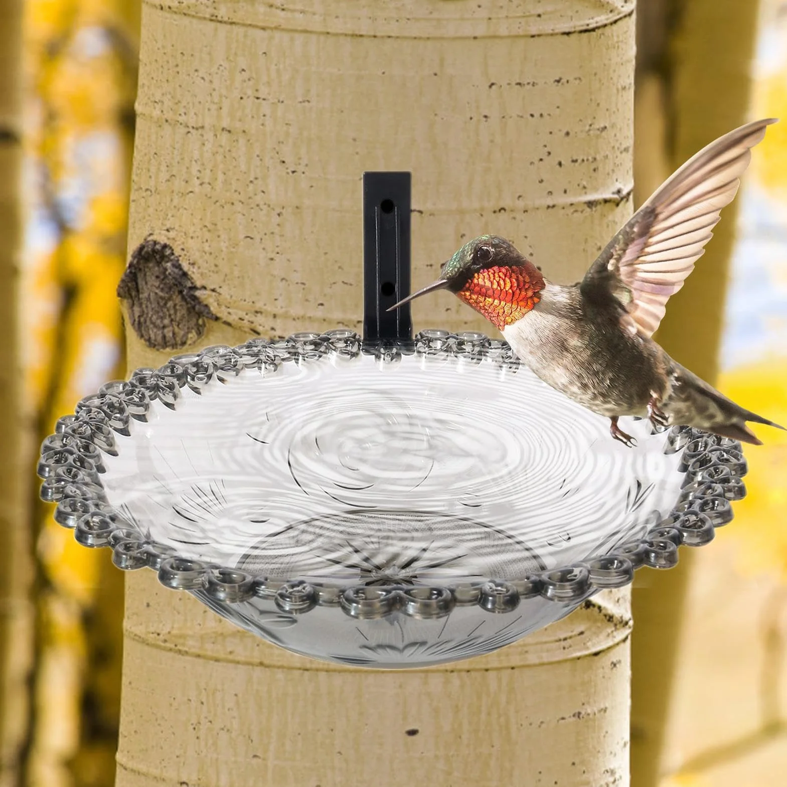 Baño para pájaros de 9 Pulgadas Colgante de Agua Jardín Transparente