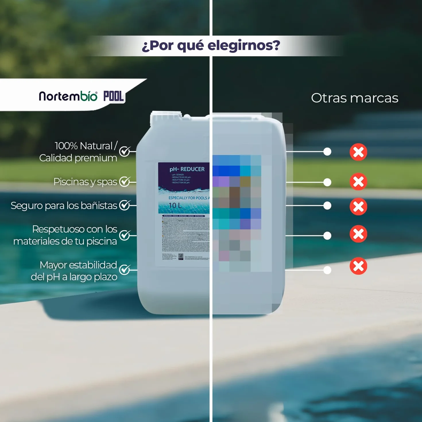 NortemBio Pool pH Minus, Reductor pH Liquido, Disminuir pH Piscina y SPA, Regulador y Equilibrador pH, Mejora la Calidad del Agua de Forma 100% Natural 1 L