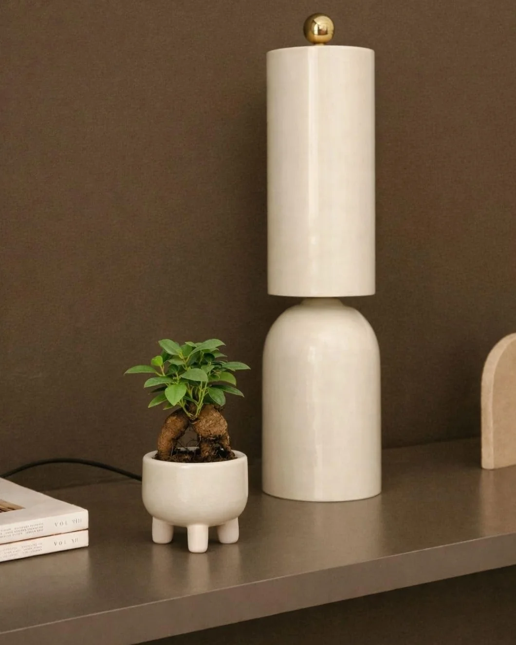 Ficus Microcarpa Mini Bonsái Natural Planta Tropical Maceta Ø6 cm