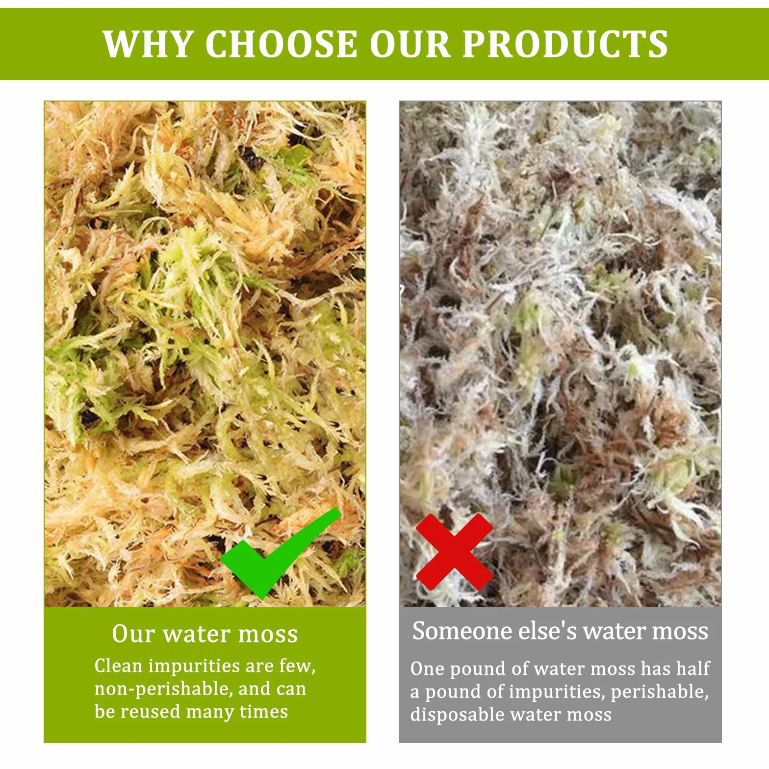 Musgo Sphagnum Natural 190g para Orquídeas Phalaenopsis Plantas Carnívoras Reptiles