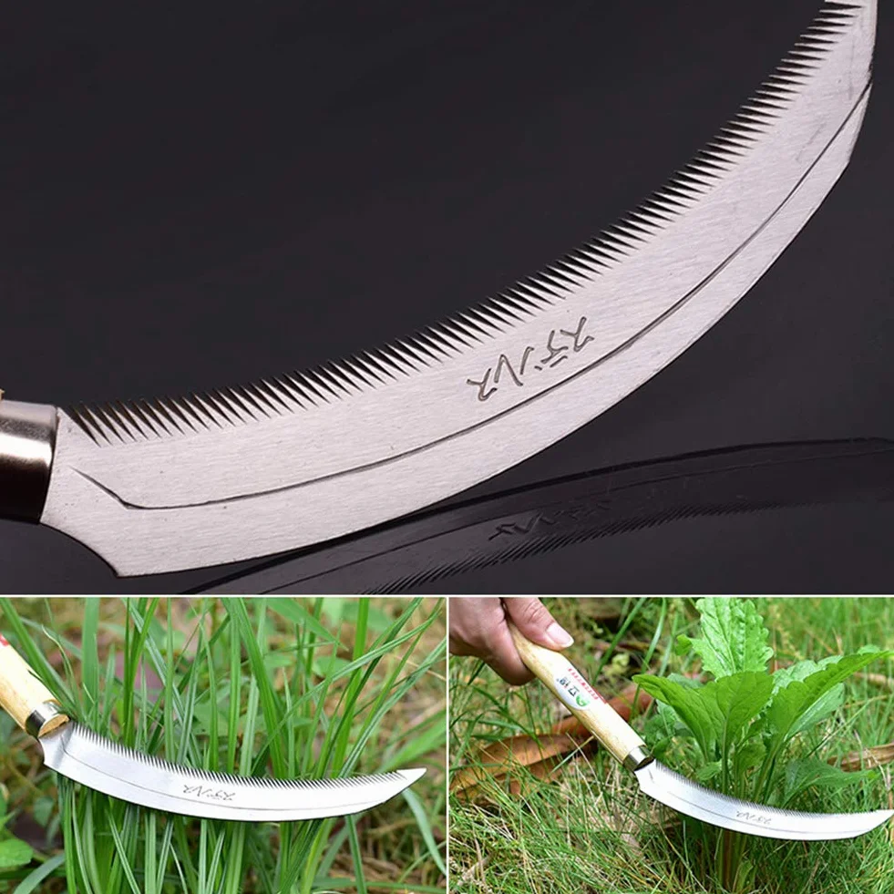 Hoz de deshierbe Japonesa de Acero Inoxidable, Mango de Madera Dura 7.87" y 6.3"