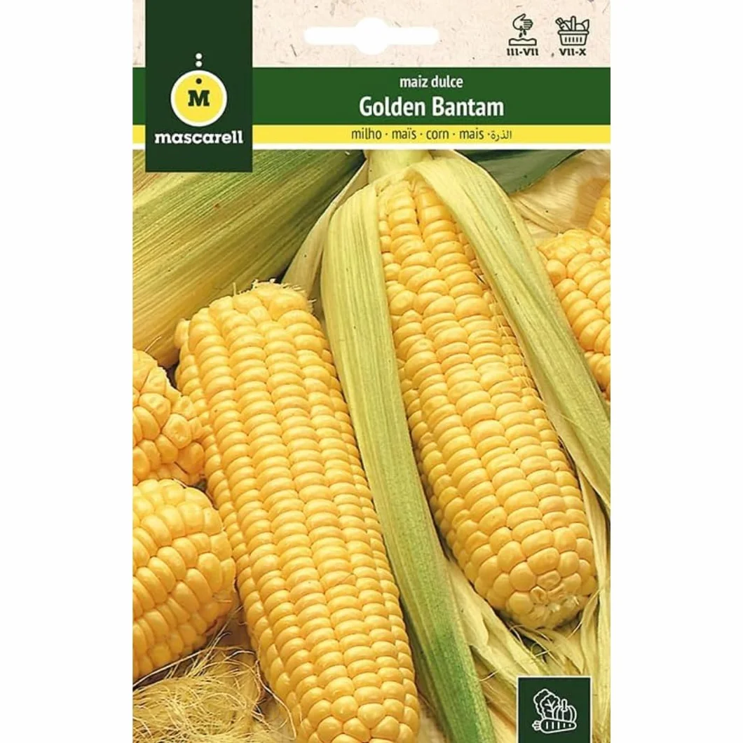 Mascarell Semillas Maíz Dulce Golden Bantam 8g