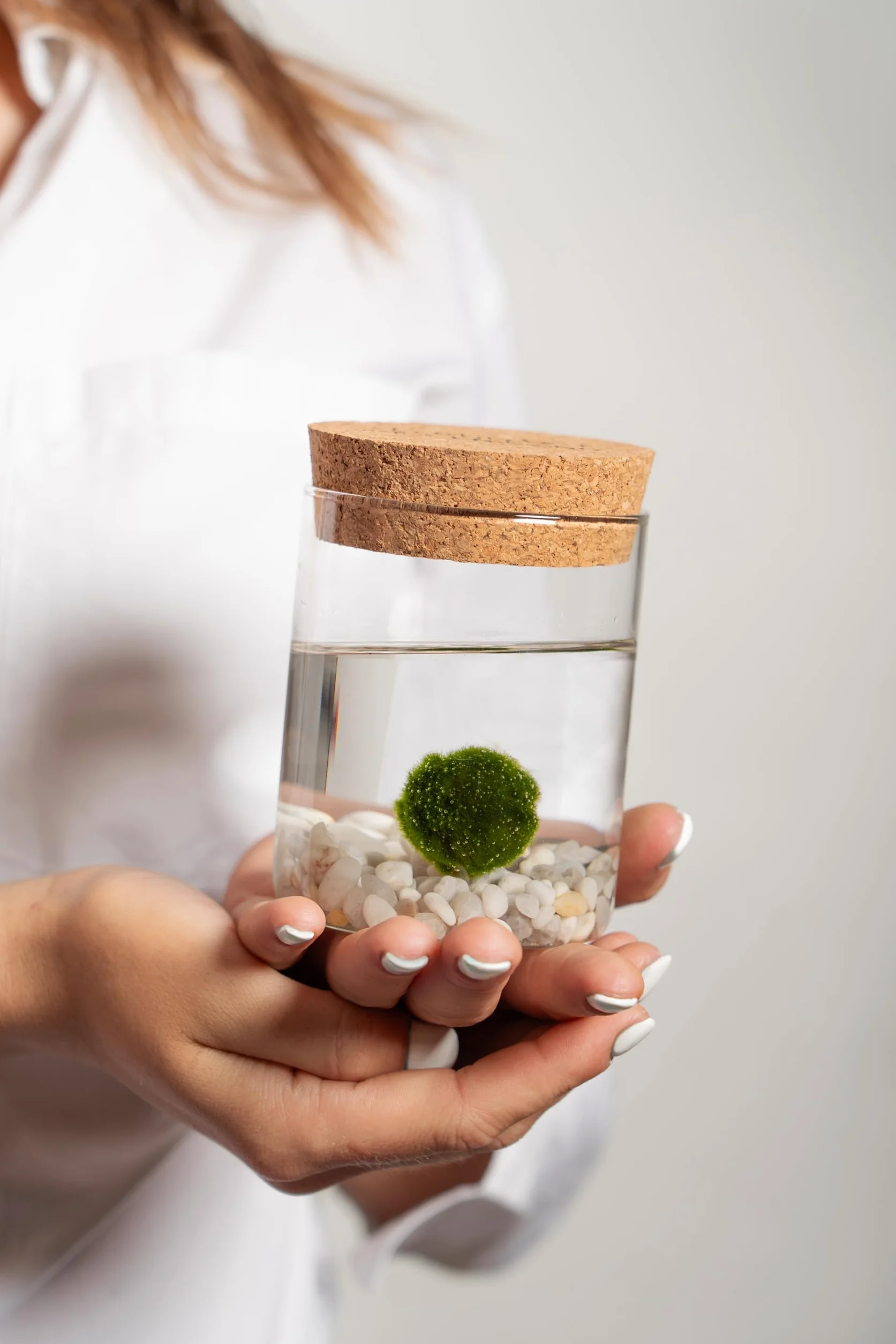 KAKI Marimo individual original tarro cristal tapón corcho ideograma artesanal fondo natural fabricado Italia
