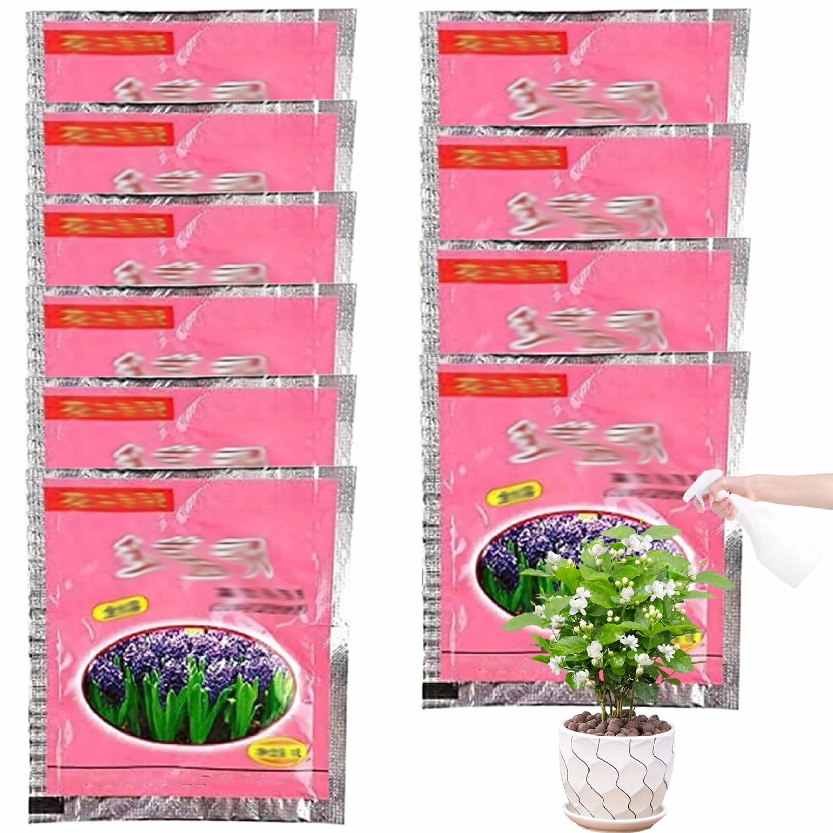 Hormona de enraizamiento | 10PCS 10g Polvo de ácido naftalenacético para esquejes de plantas
