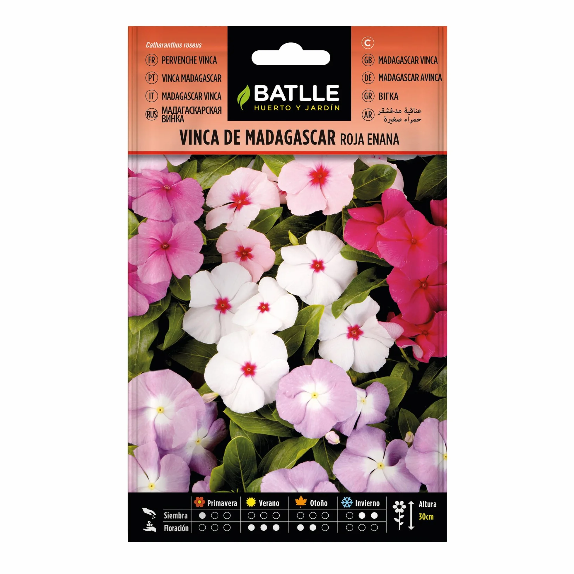 Semillas Batlle Vinca de Madagascar roja enana