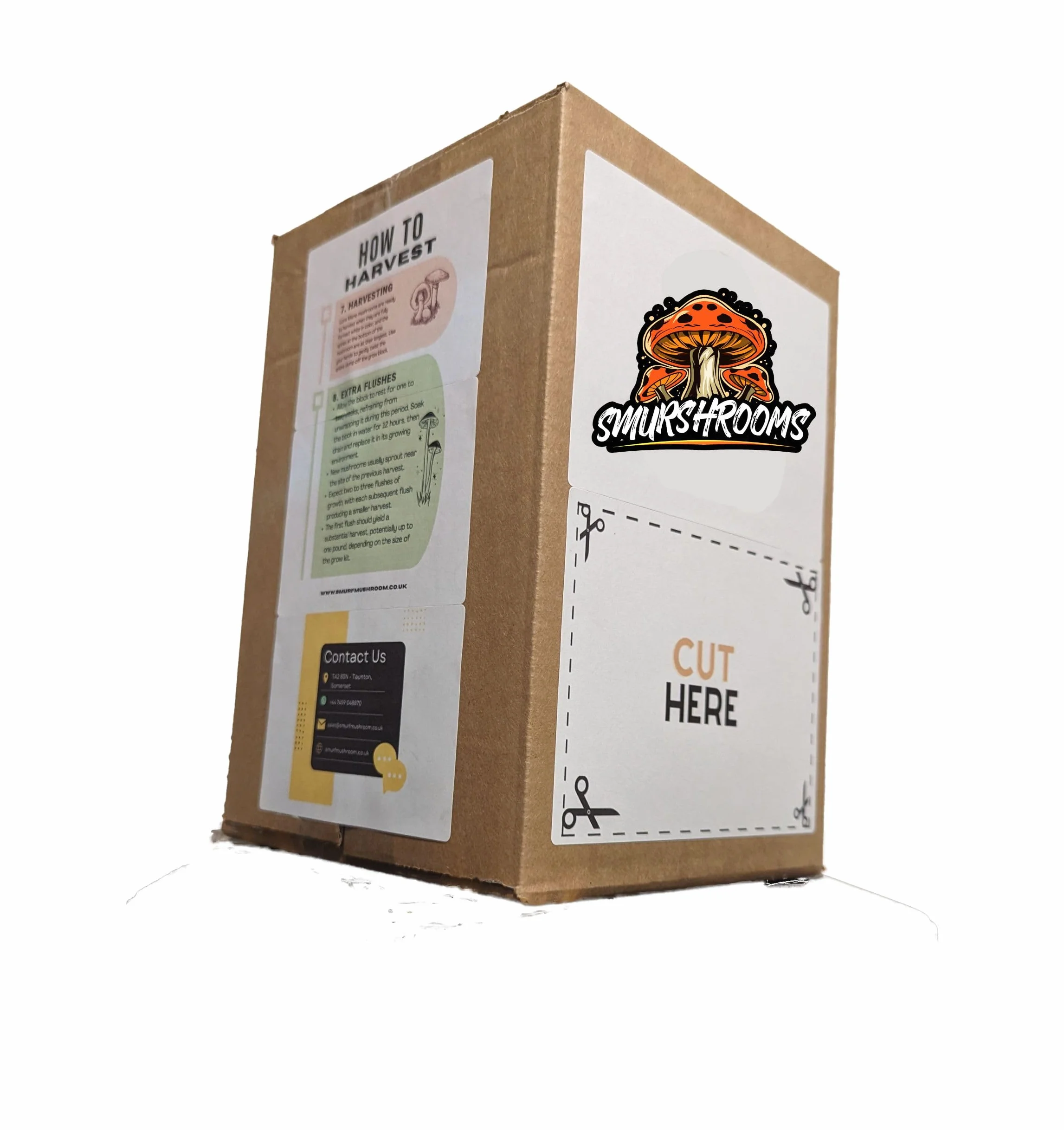 Nutrition Geeks Kit de cultivo de setas Lion's Mane Hericium erinaceus 1,8 kg