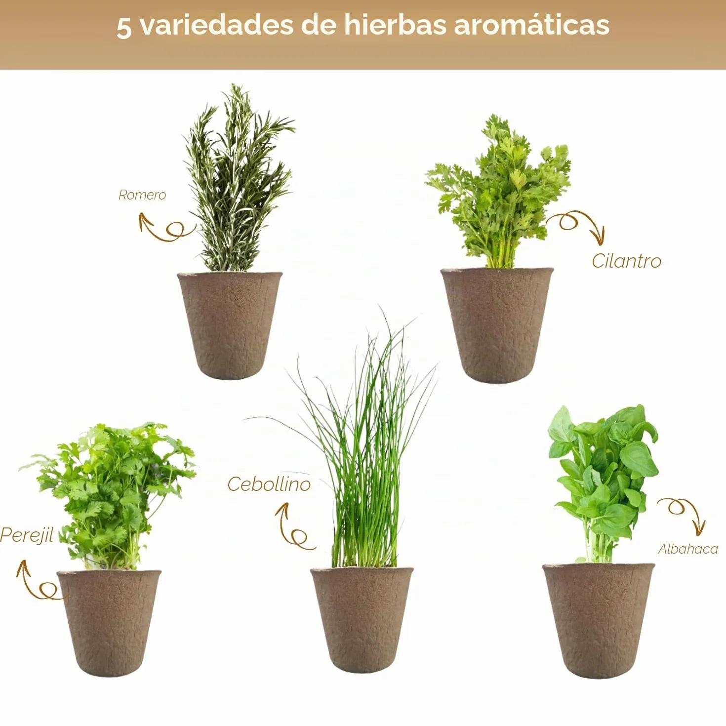 NOPALIA® Kit Hierbas Aromáticas Macetas Biodegradables Tijeras Accesorios Huerto Urbano Interior