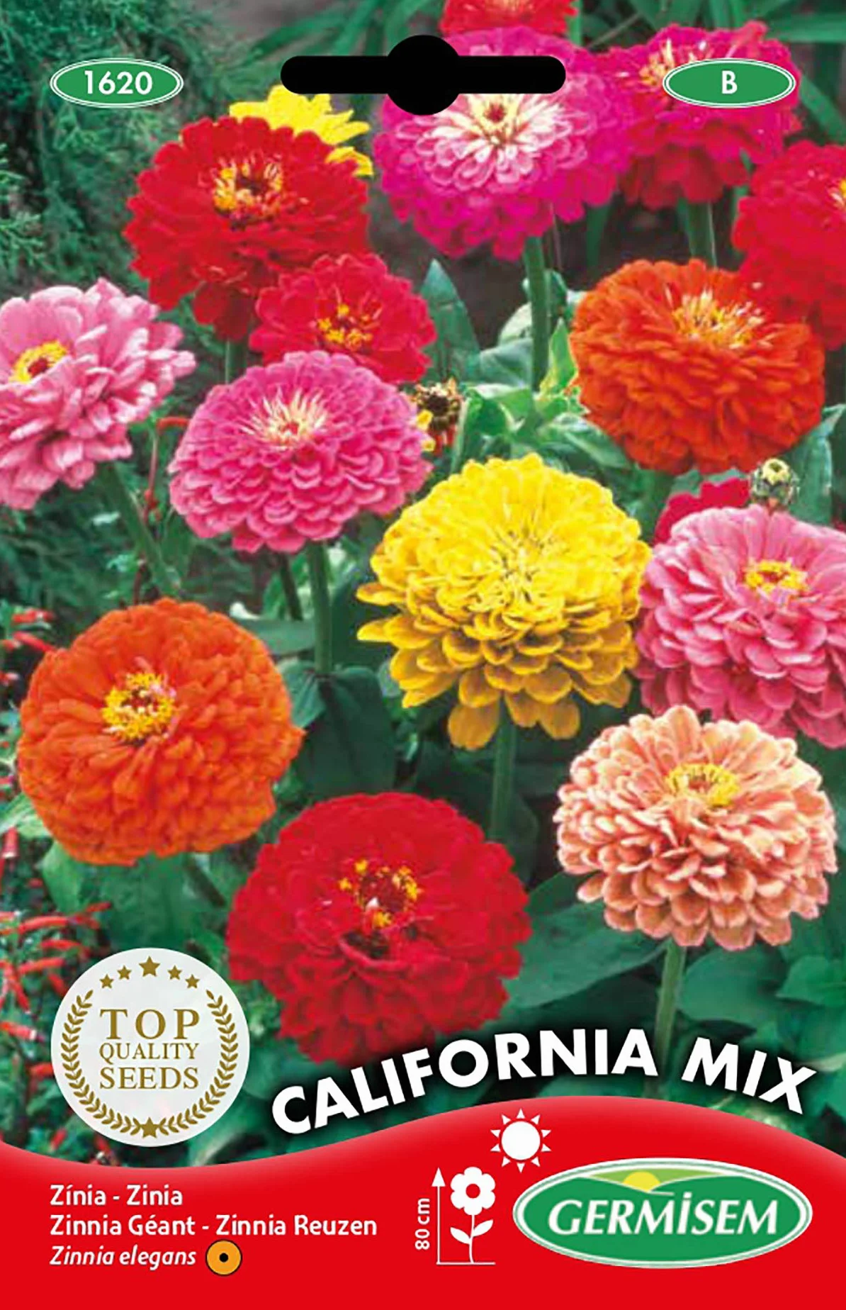 Germisem California Mix Nasiona Zinnii 2g