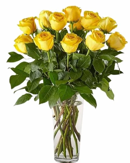 Ramo de Rosas Naturales Color Amarillo con 25 Flores en Presentación Premium para Detalles Especiales Rosas Amarillas Premium