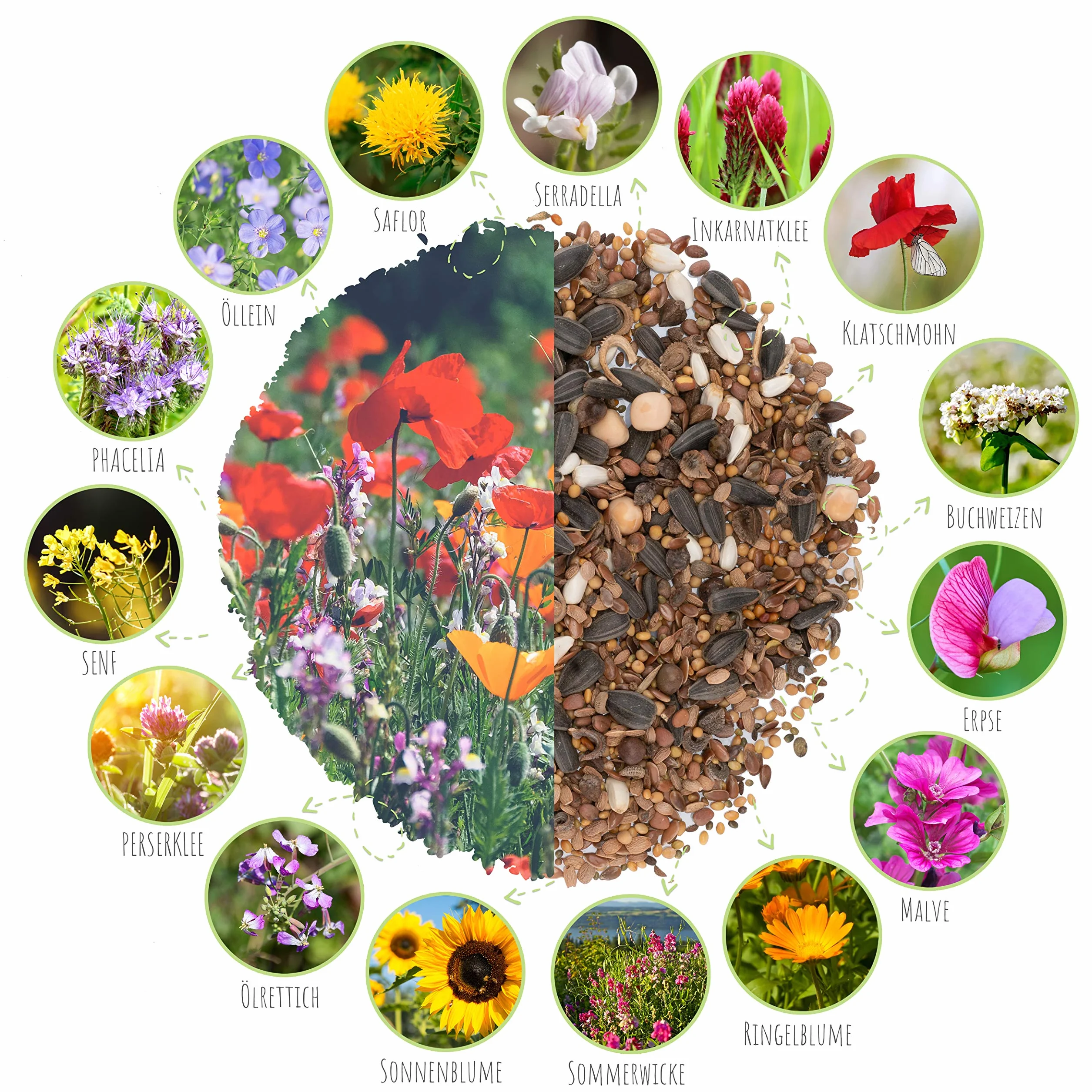 Semillas de prado de mariposas 100 g – Mezcla de flores silvestres ricas en néctar