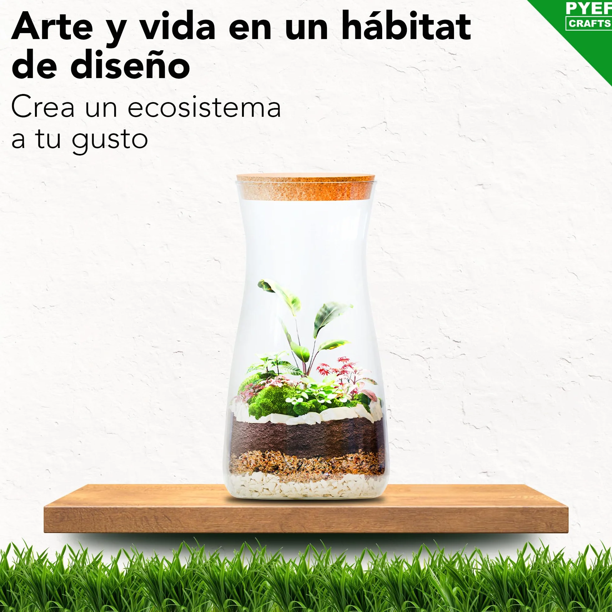 Kit Terrario de Cristal DIY Set Decoración Ecosistema Cerrado Bosque Eterno Interior Frasco Accesorios Hogar Regalo Original