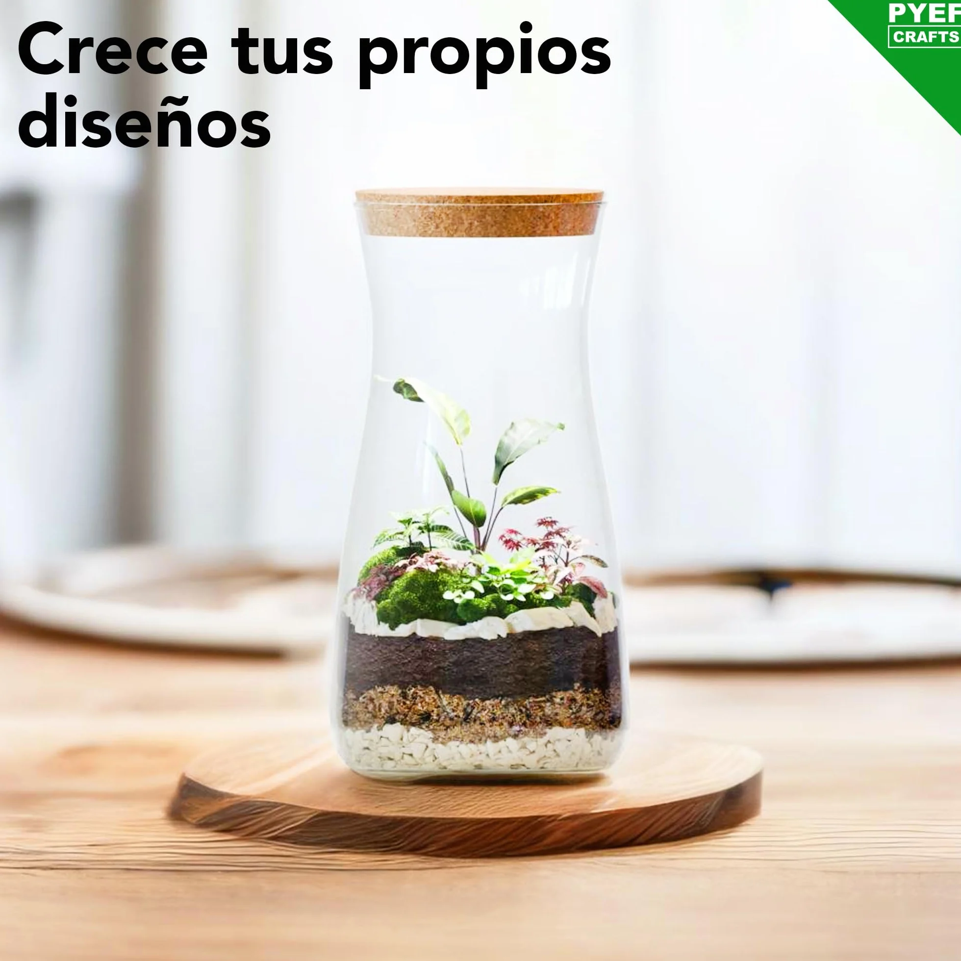 Kit Terrario Plantas DIY - Set Ecosistema Cerrado para Jardin en Botella 1-2L - Terrarium Interior - Kit Creacion Sin Planta