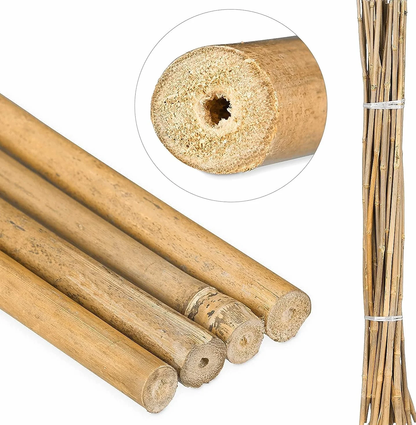 Suinga Pack 200 Tutores de Bambú 150 cm (10-12 mm) - Varillas Resistentes para Plantas, Árboles y Hortalizas | Soporte para Plantas, Tomates | Tutores para Plantas trepadoras