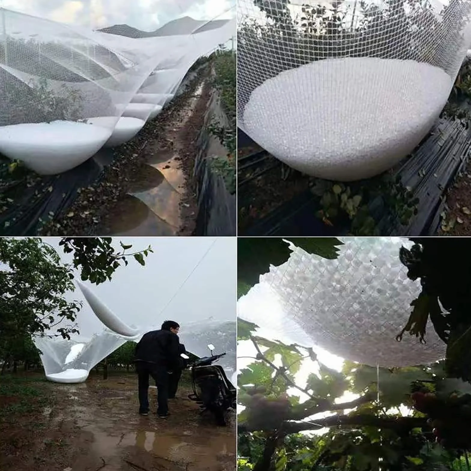 Red antigranizo para plantas, jardines y árboles, 5 mm de grosor, reutilizable y cortable, protección perfecta para frutas y verduras, ideal para invernaderos y huertos