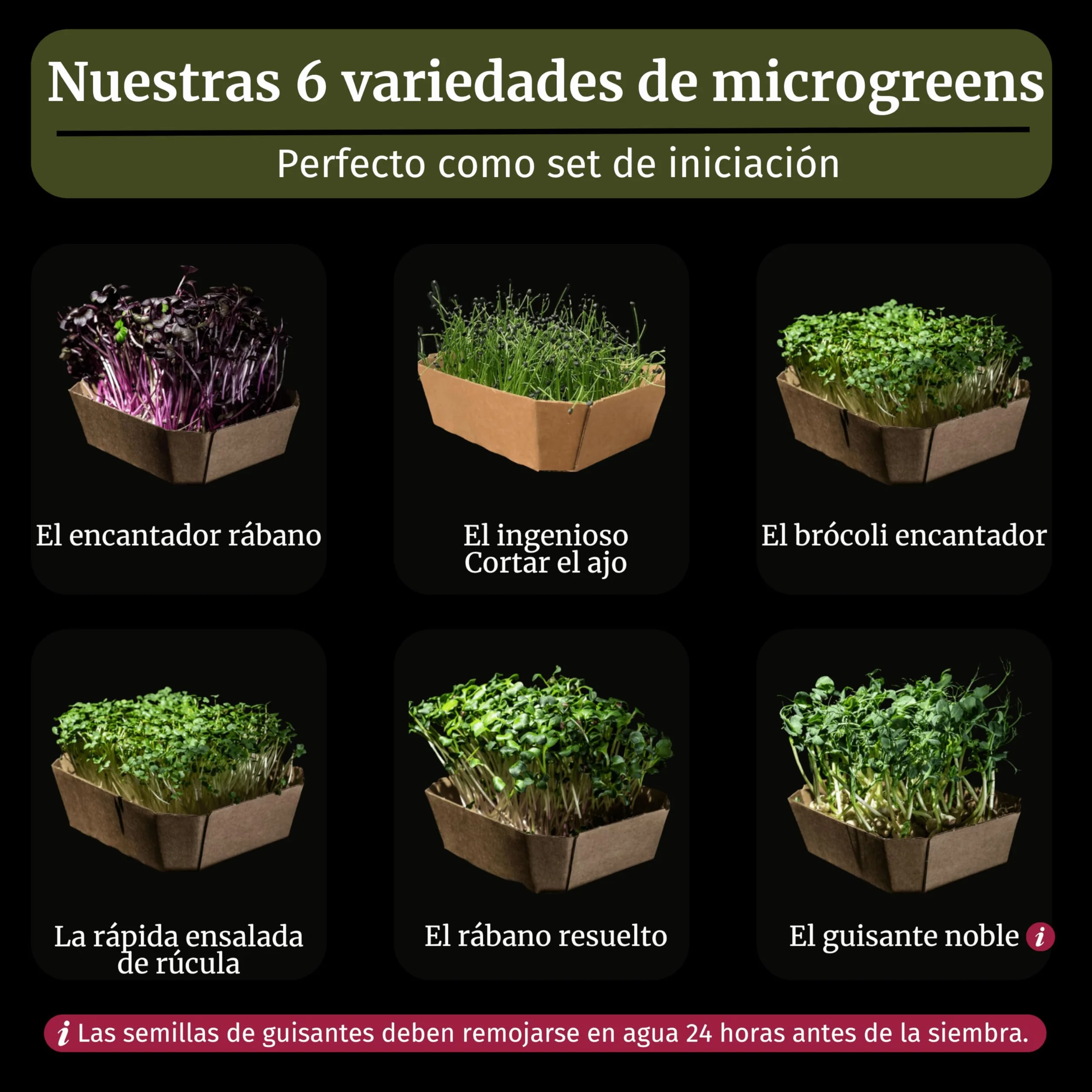 LERAVA Profarms Kit Microgreens BIO Cultiva en Casa Brotes Tiernos Rábanos Ajo Brócoli Rúcula Rábano Picante Guisantes Semillas Germinar 6 Pads Cáñamo