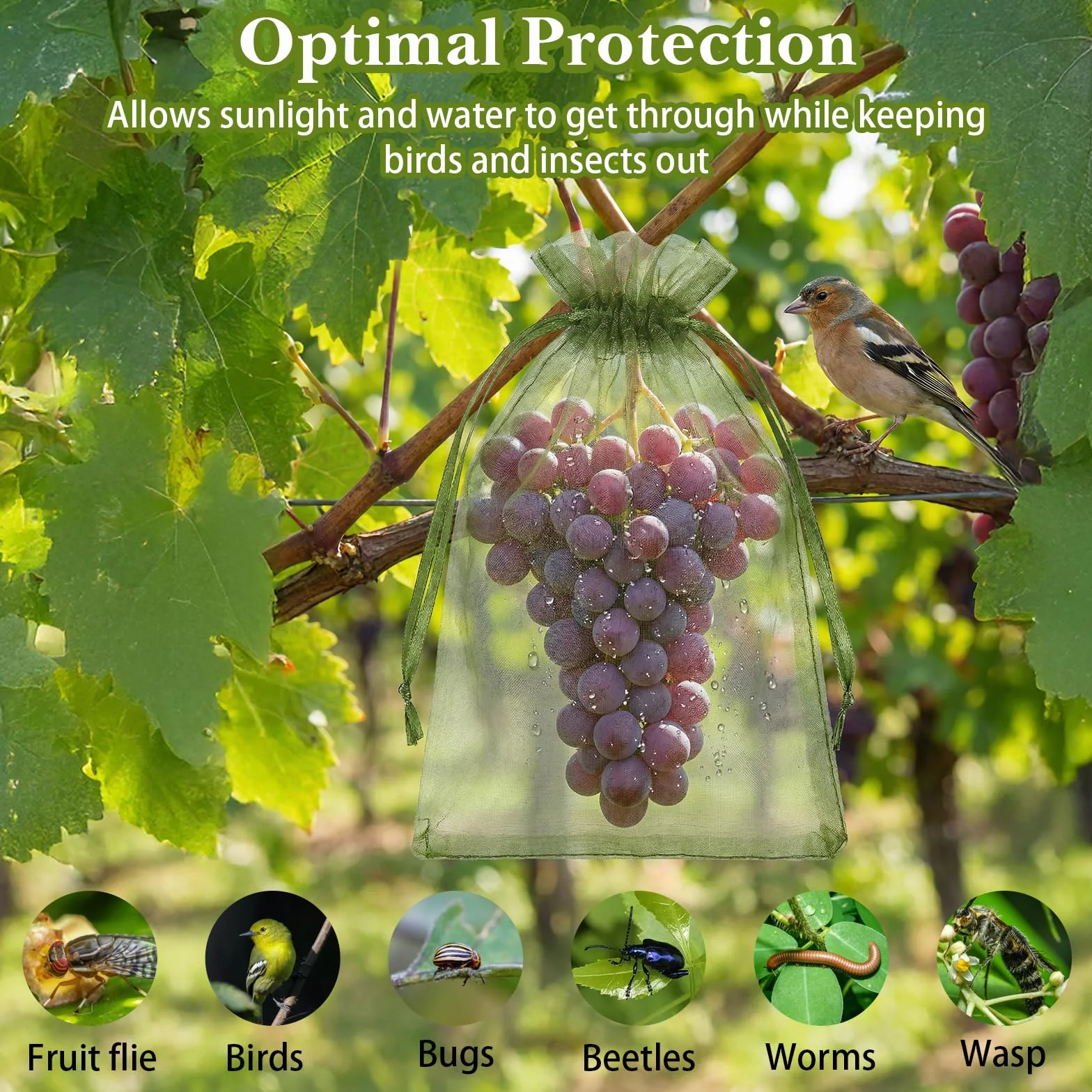 Bolsas protectoras para uvas de organza 15 x 10 cm con cordón, protección contra avispas (verde)